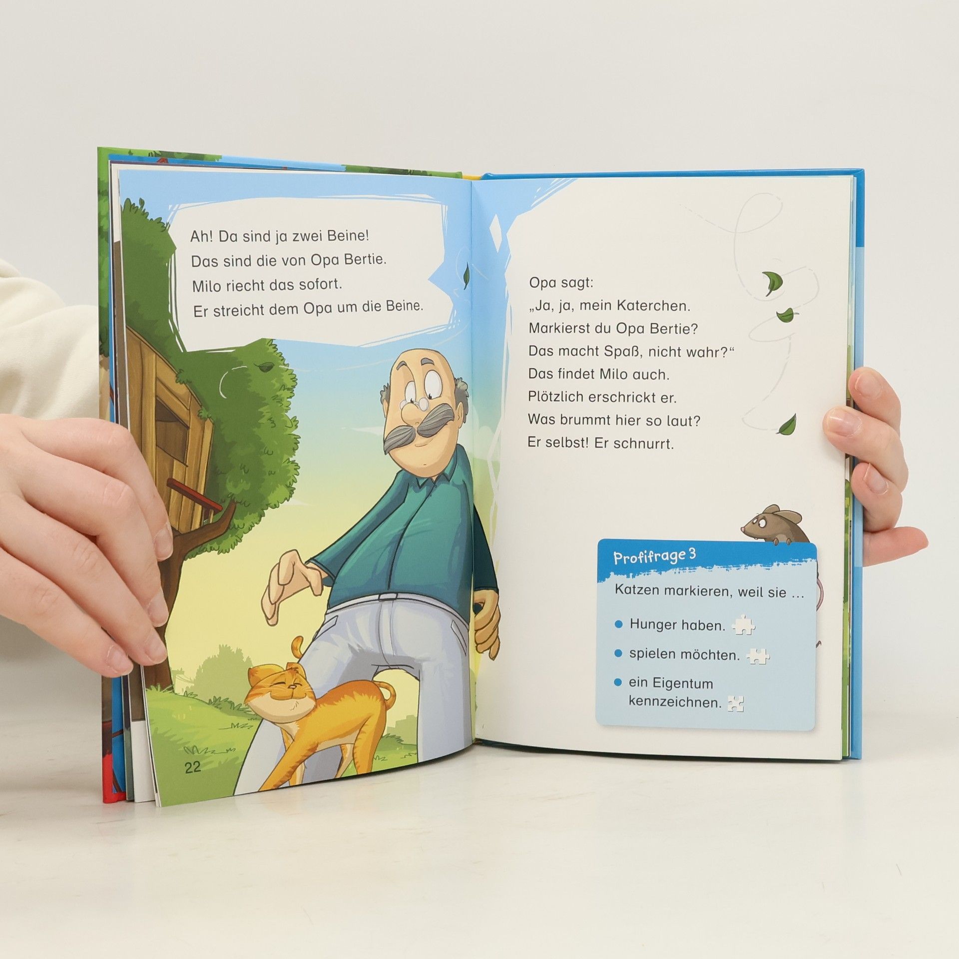 Antje Lehbrink Duden Leseprofi - Plötzlich Katze!, 2. Klasse