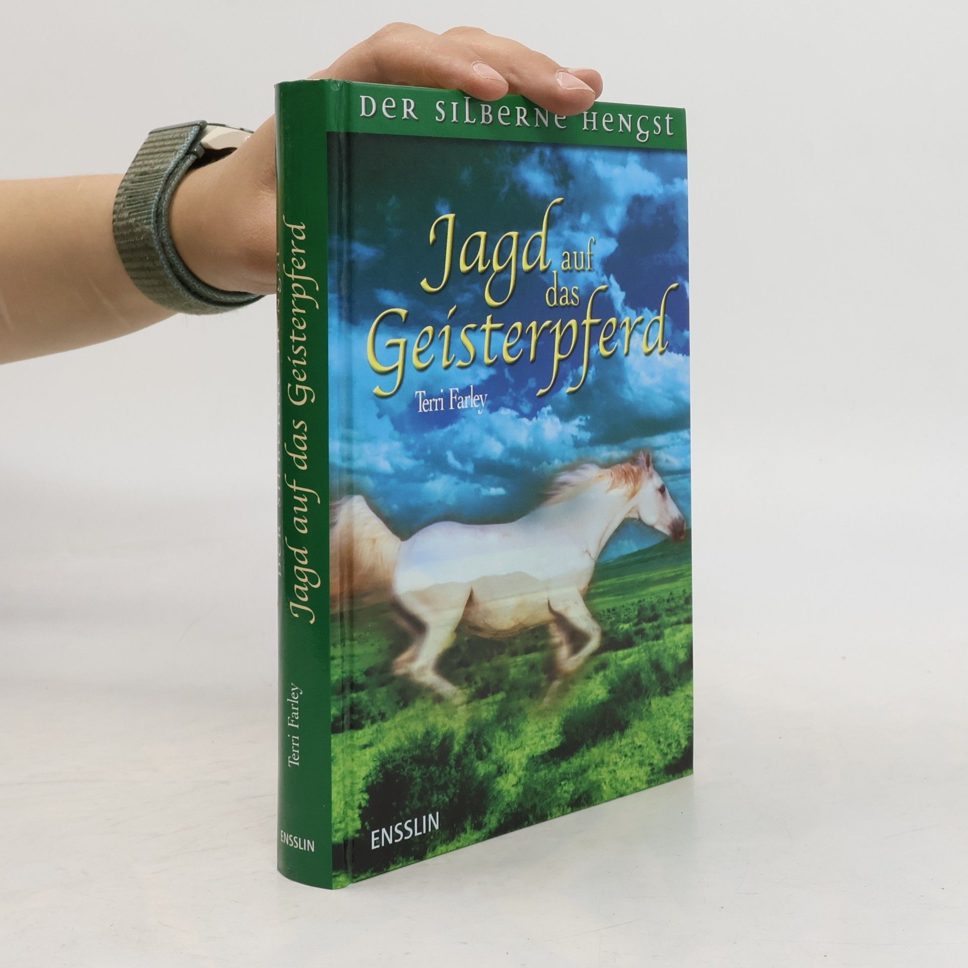 Terri Farley Jagd auf das Geisterpferd