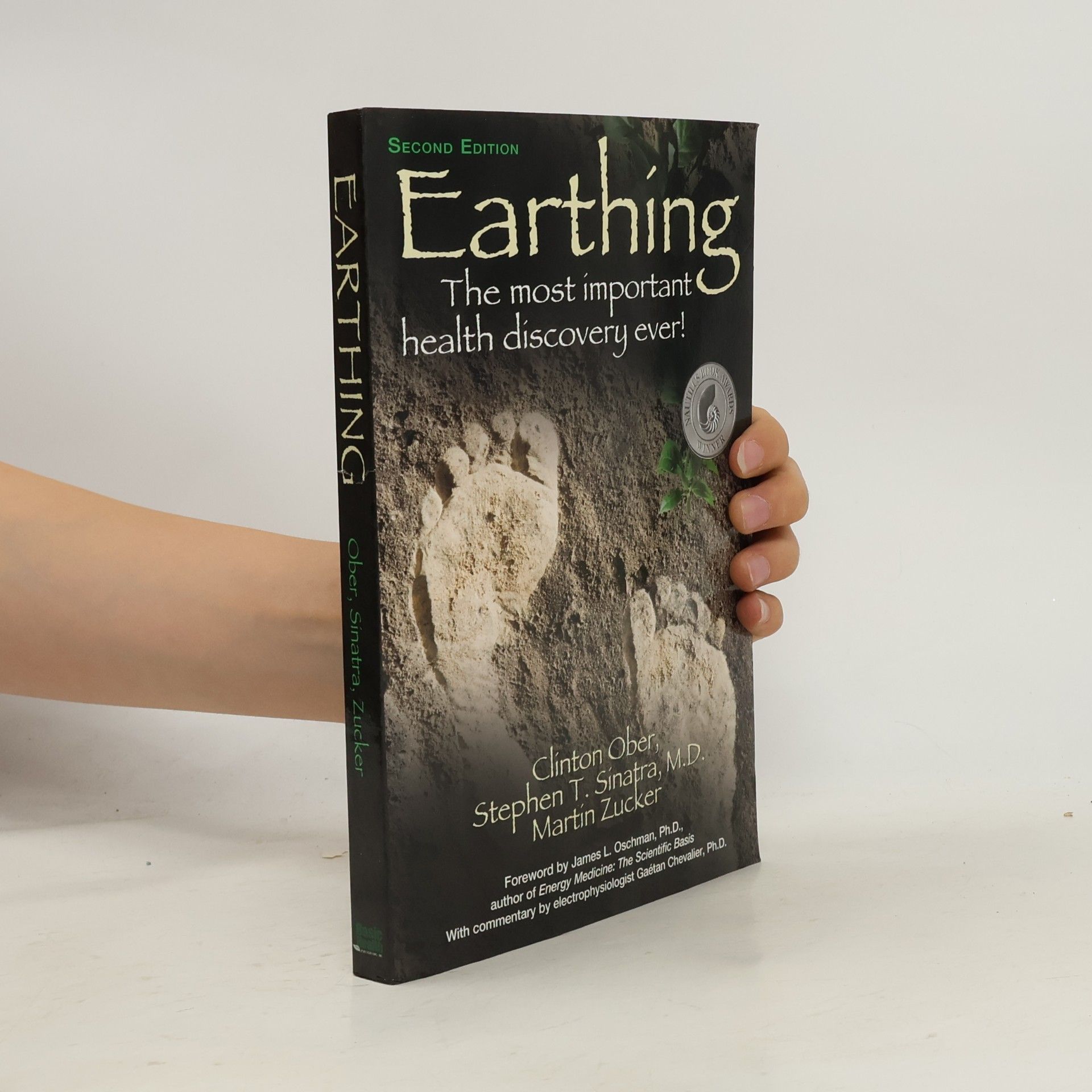 Clinton Ober Earthing