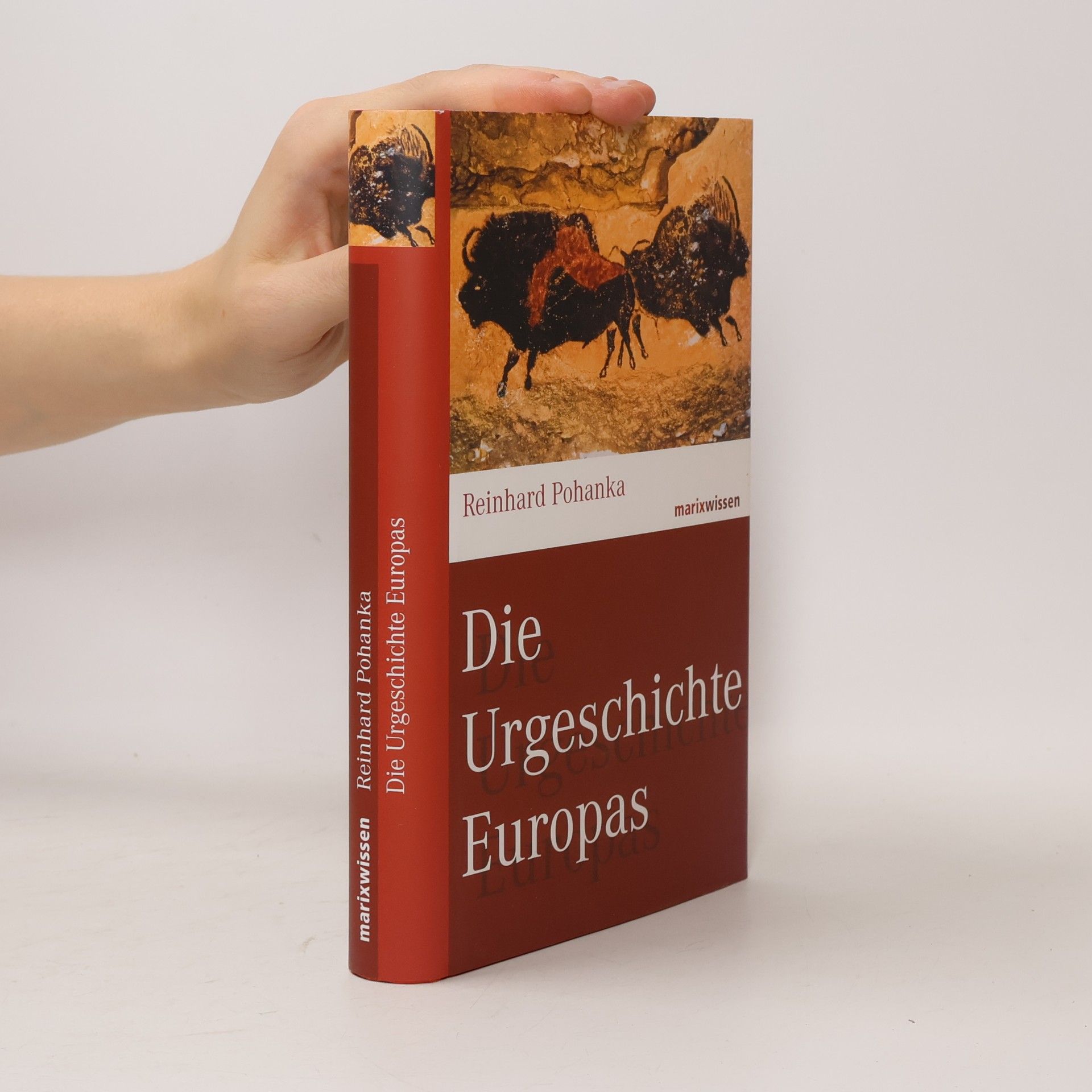 Die Urgeschichte Europas
