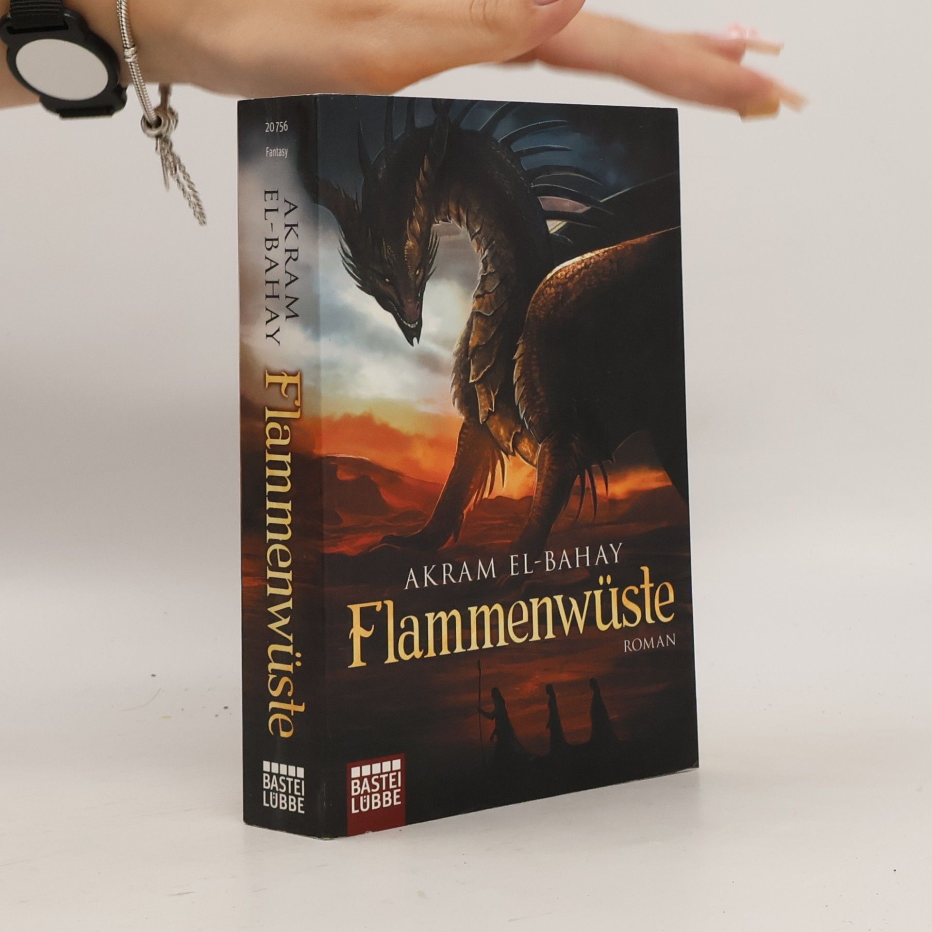 Akram El-Bahay Flammenwüste