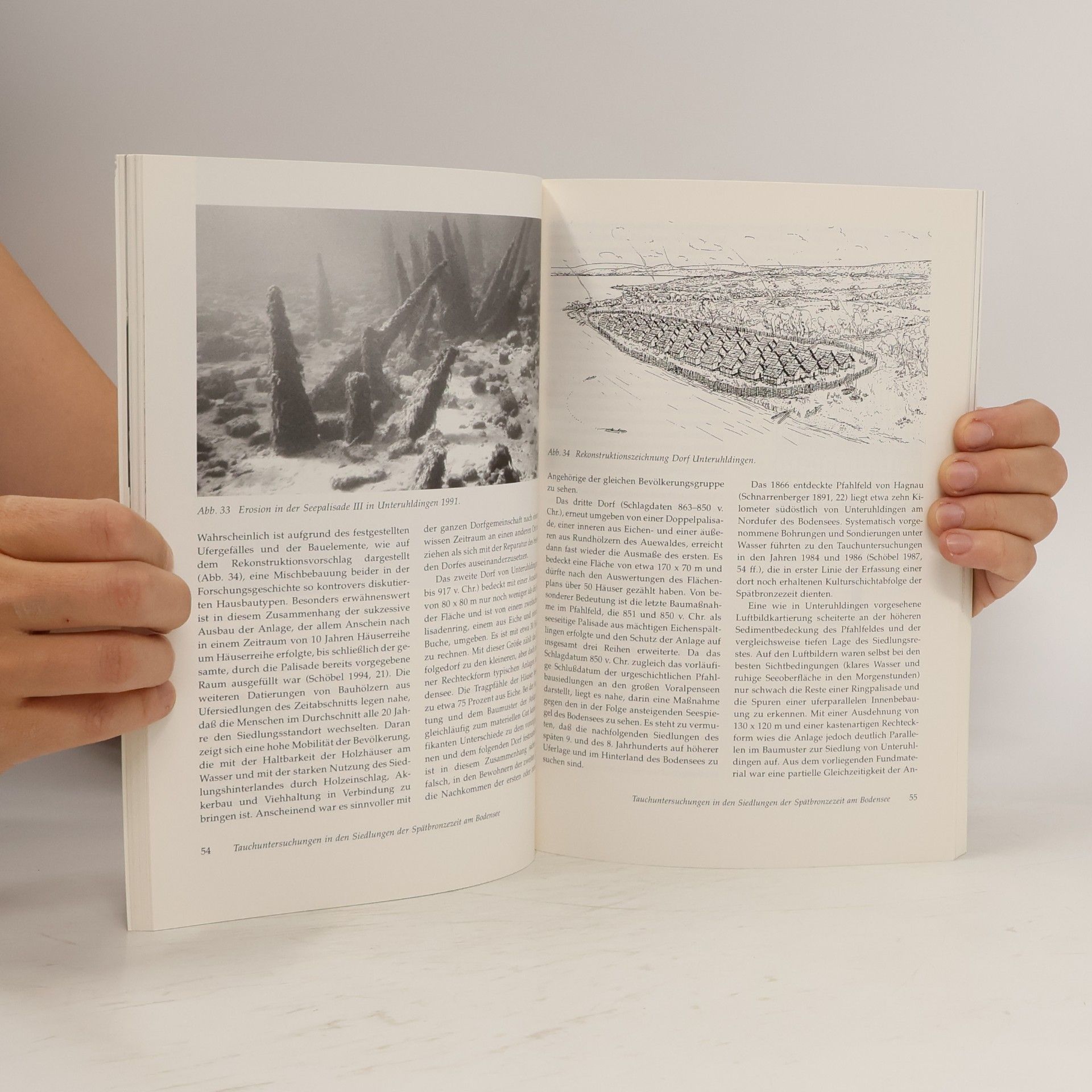 Landesdenkmalamt Baden-Württemberg Archäologie unter Wasser