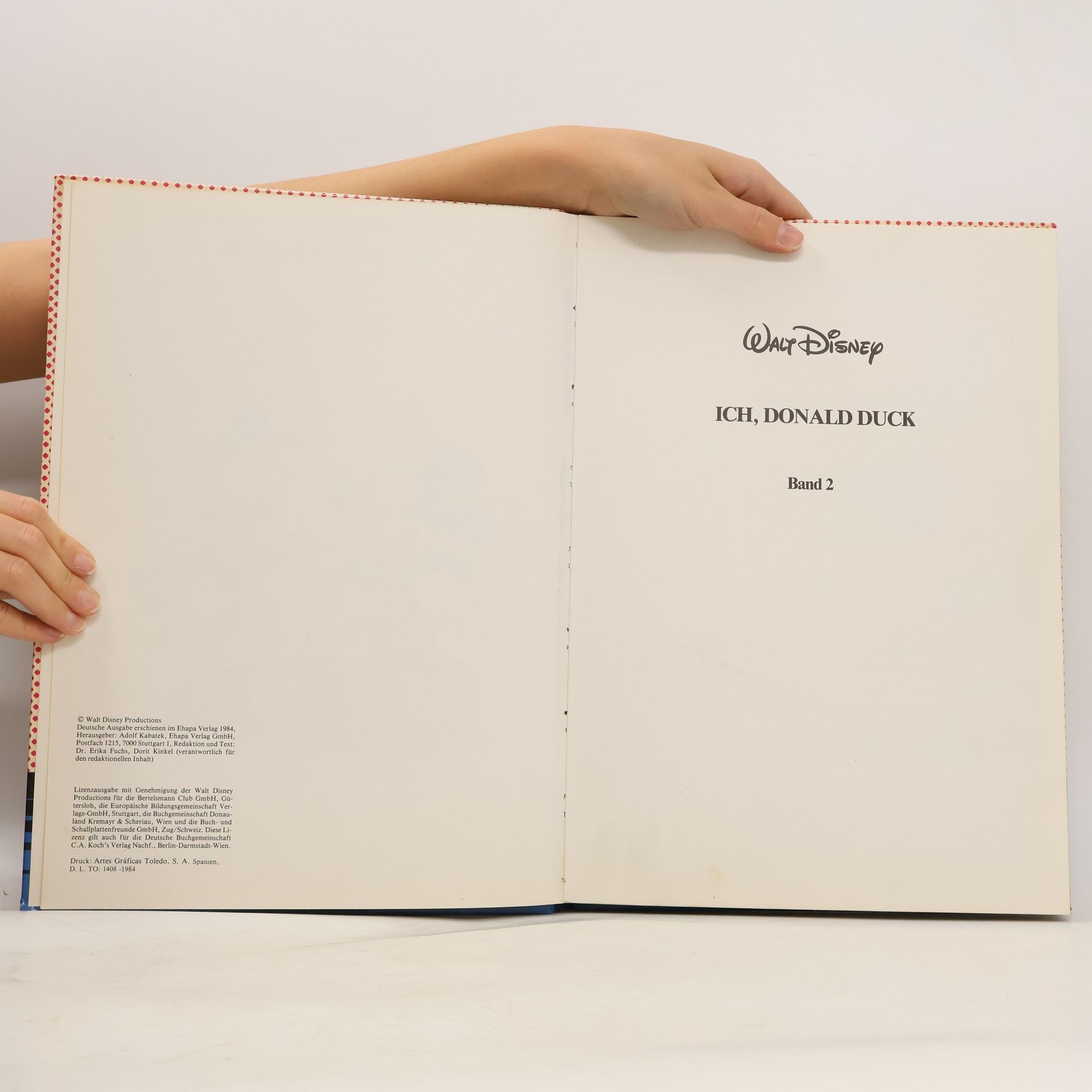 Autorenkollektiv Ich, Donald Duck 2