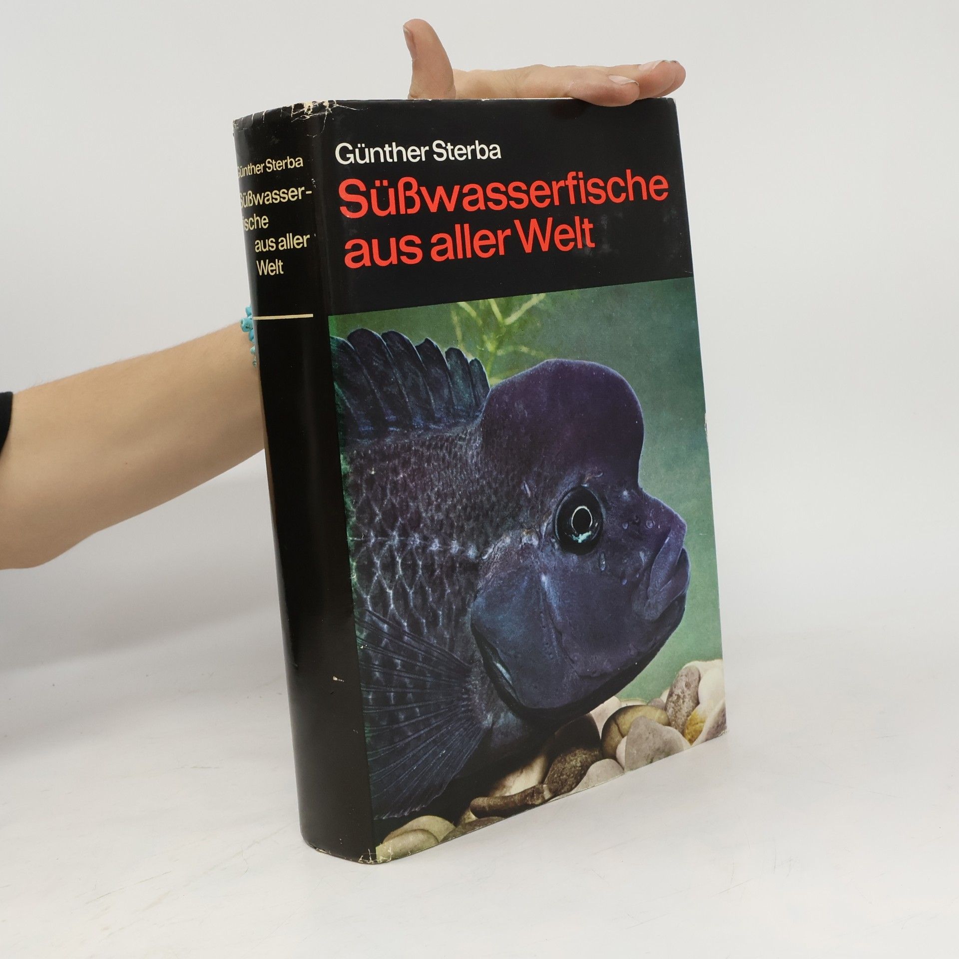 Süßwasserfische aus aller Welt