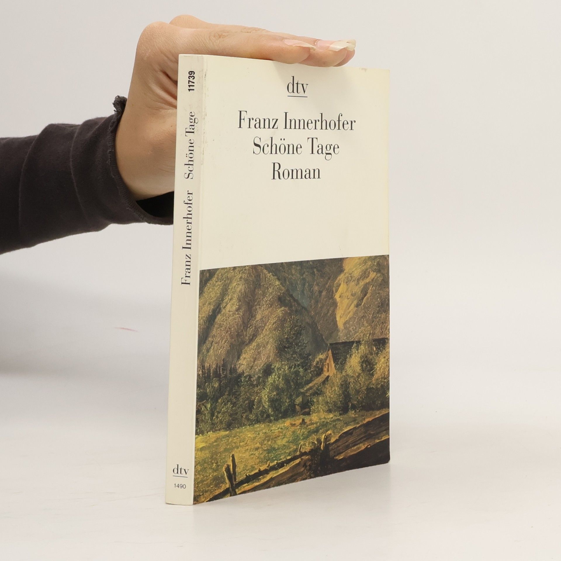 Franz Innerhofer Schöne Tage