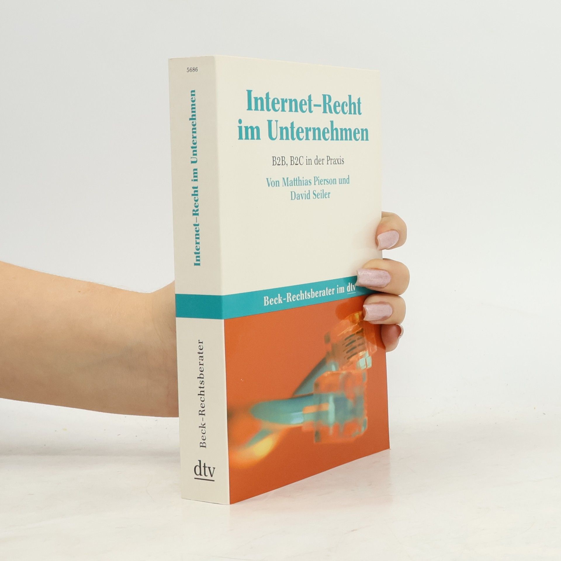 David Seiler dtv Beck Rechtsberater: Internet-Recht im Unternehmen