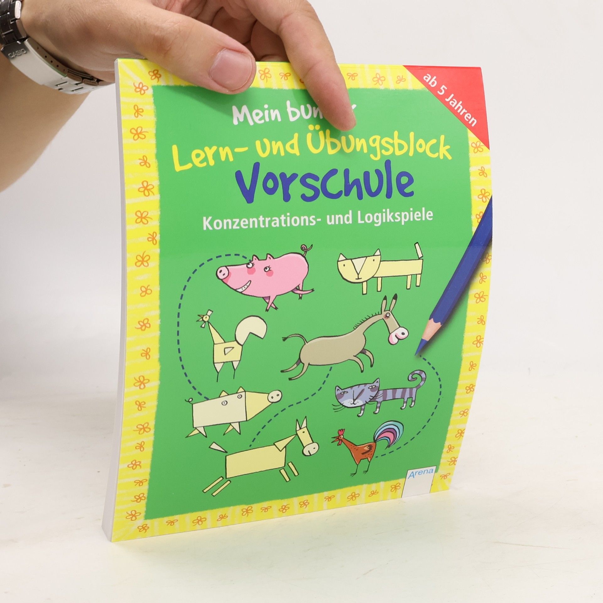 Friederike Barnhusen Konzentrations- und Logikspiele
