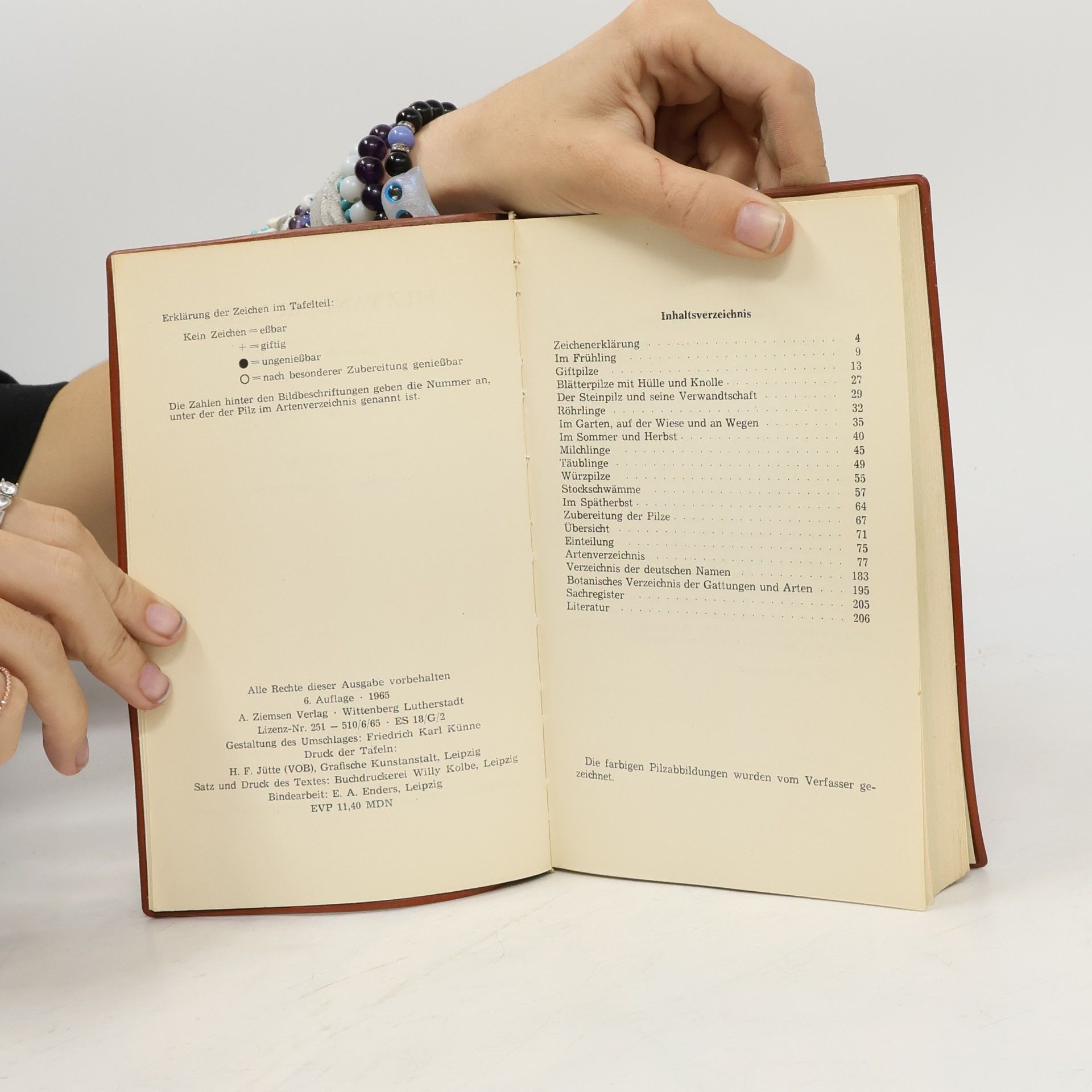 Franz Engel Pilzwanderungen