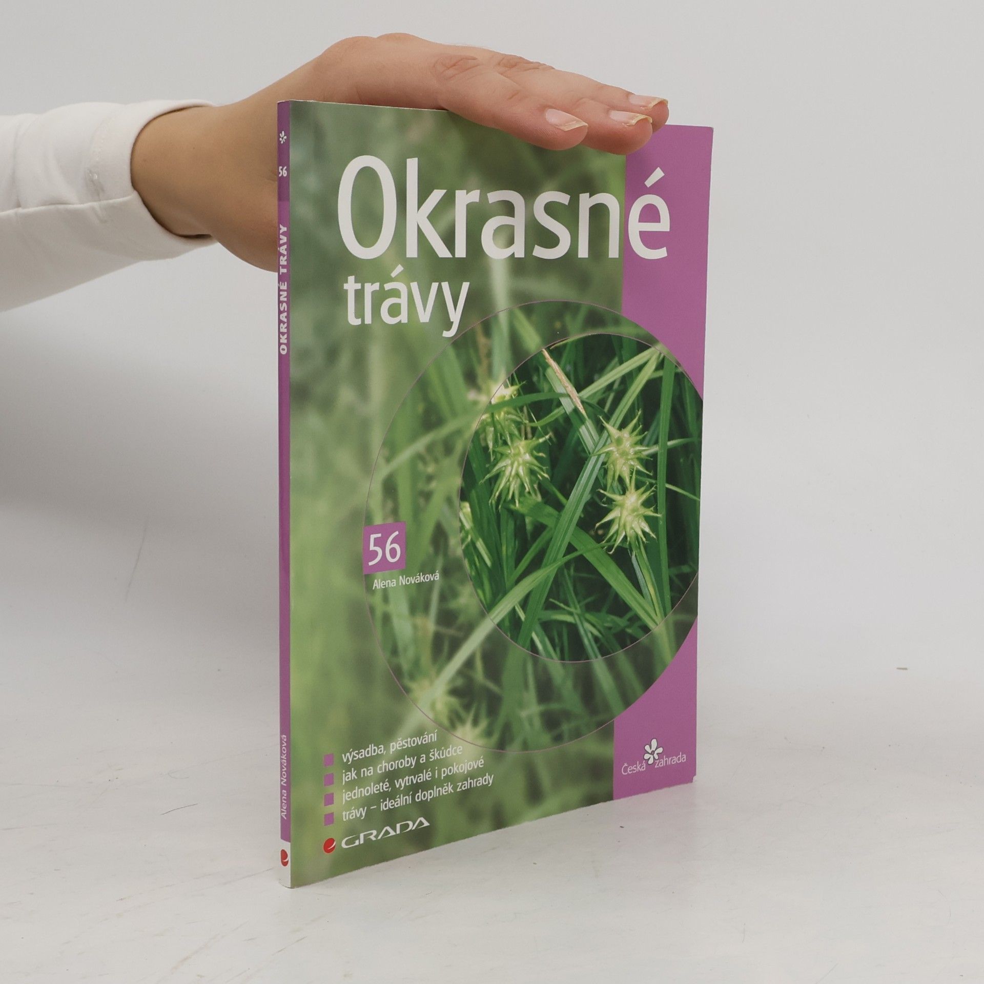 Alena Nováková Okrasné trávy