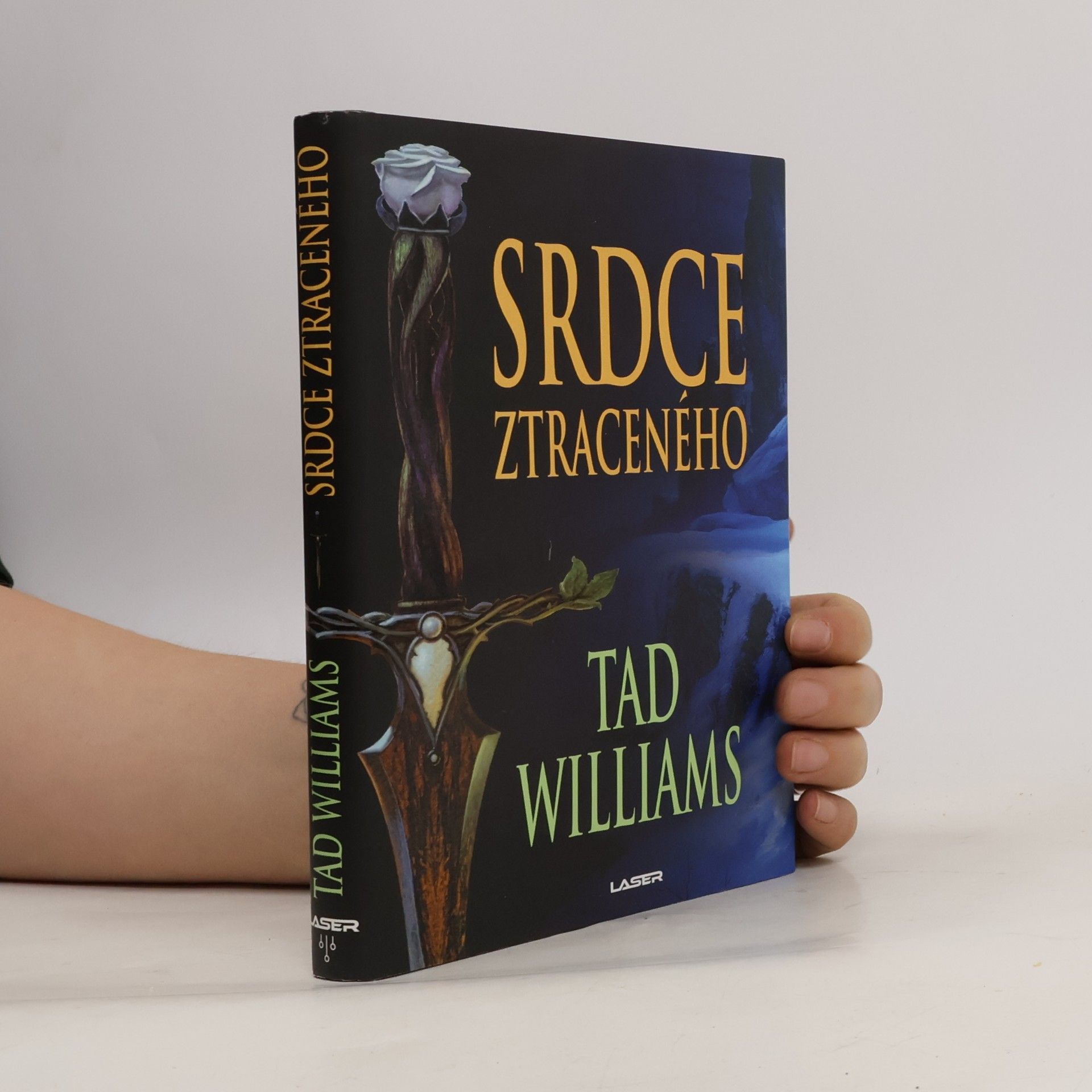Tad Williams Srdce ztraceného