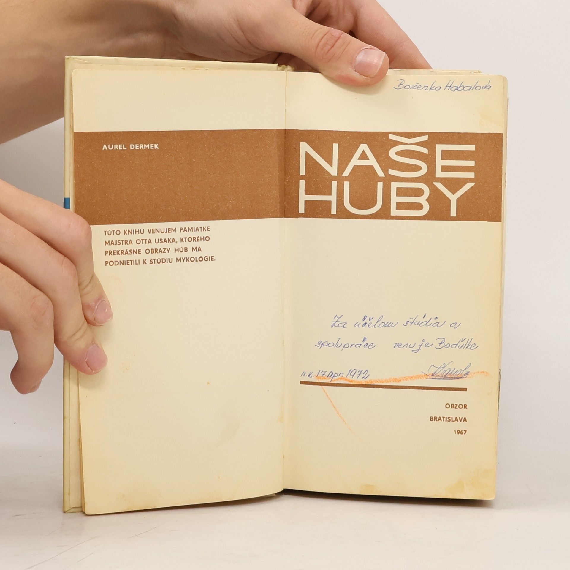 Aurel Dermek Naše huby