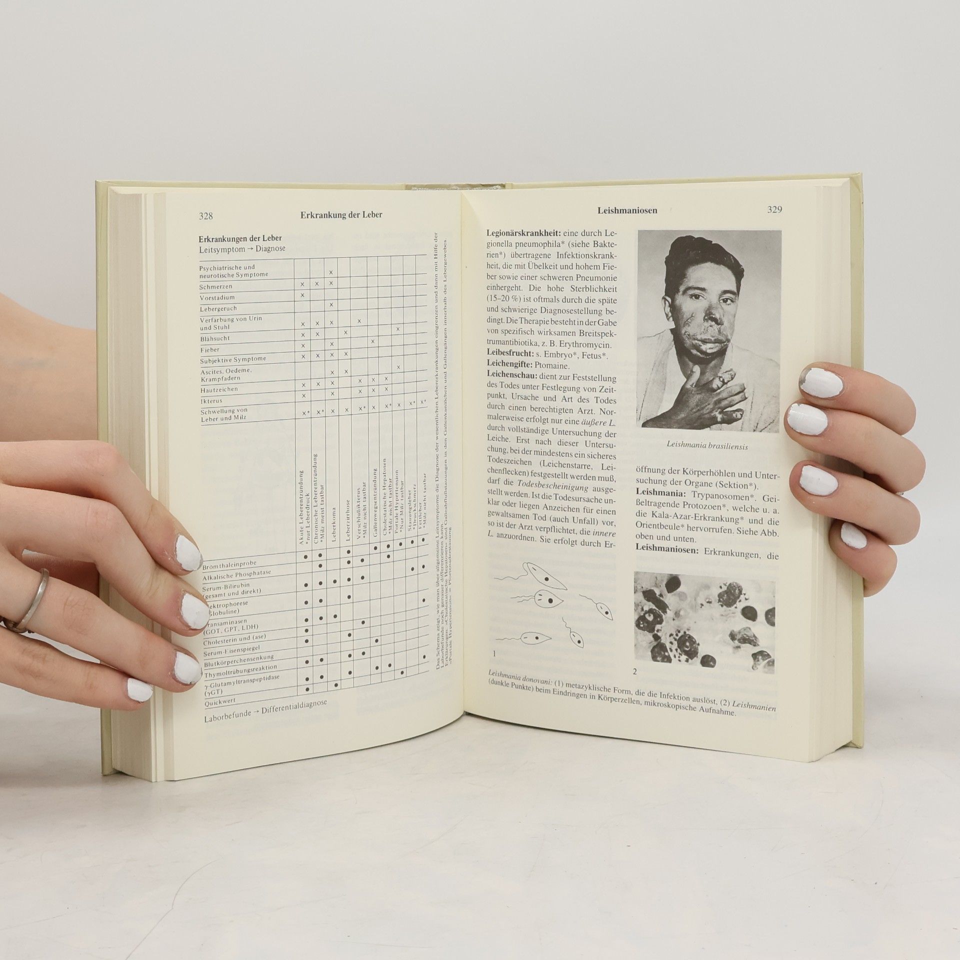 Josef Hammerschmid Gollwitzer Wörterbuch der medizinischen Fachaudrücke