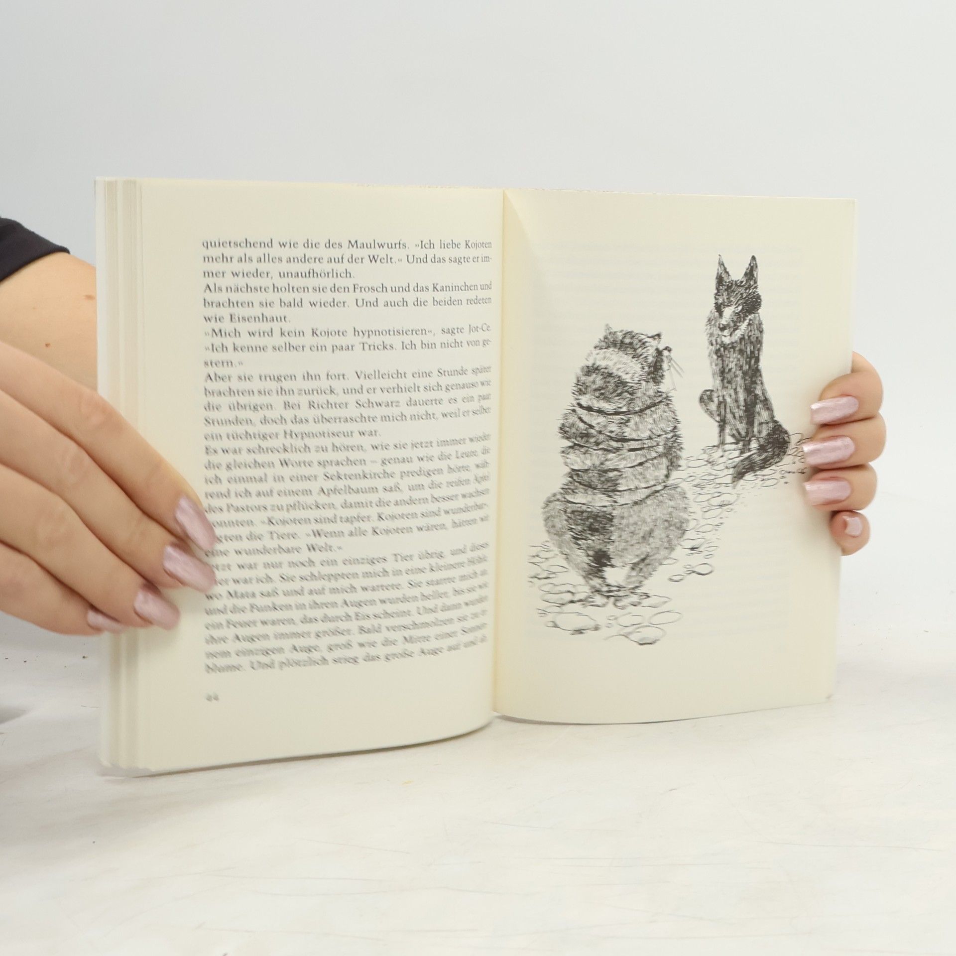 Ben Burman Bertelsmann Kinder- und Jugend-Taschenbücher: Kojoten in der Katzfischbucht