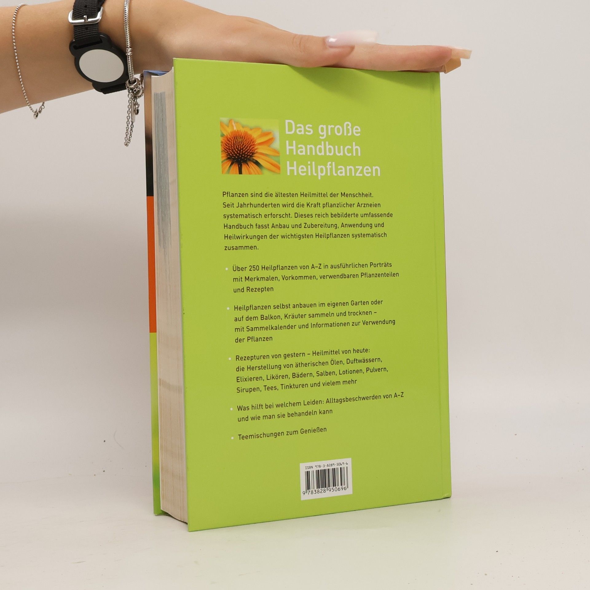 Pierre Michel Das große Handbuch der Heilpflanzen
