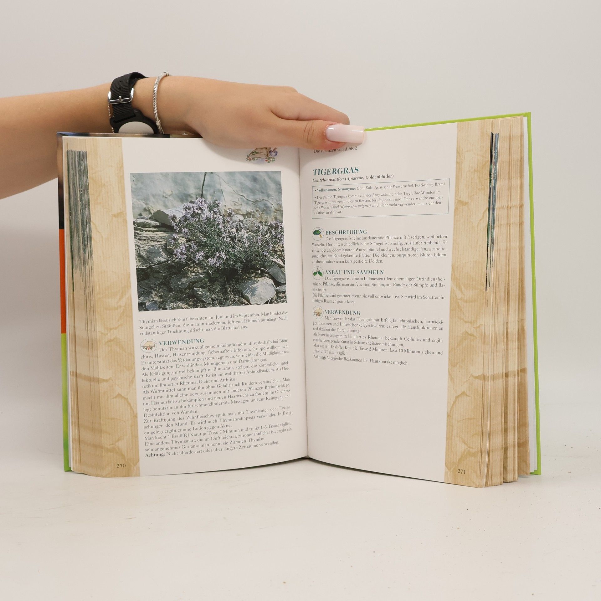 Pierre Michel Das große Handbuch der Heilpflanzen