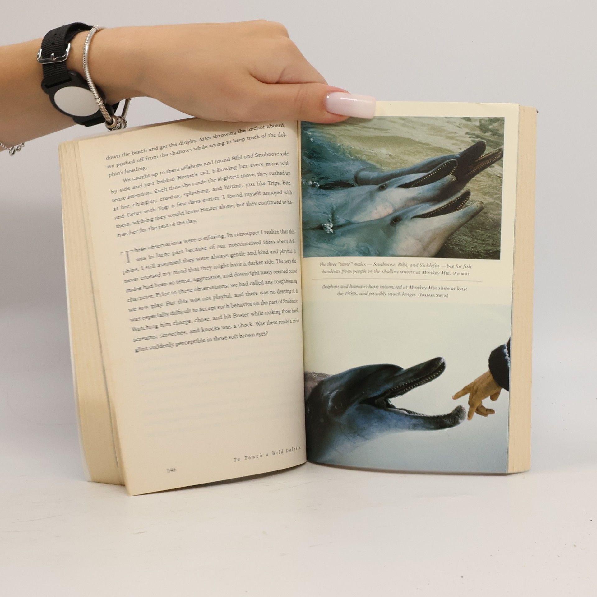 Rachel Smolker To Touch a Wild Dolphin: A Journey of Discovery with the Sea's Most Intelligent Creatures