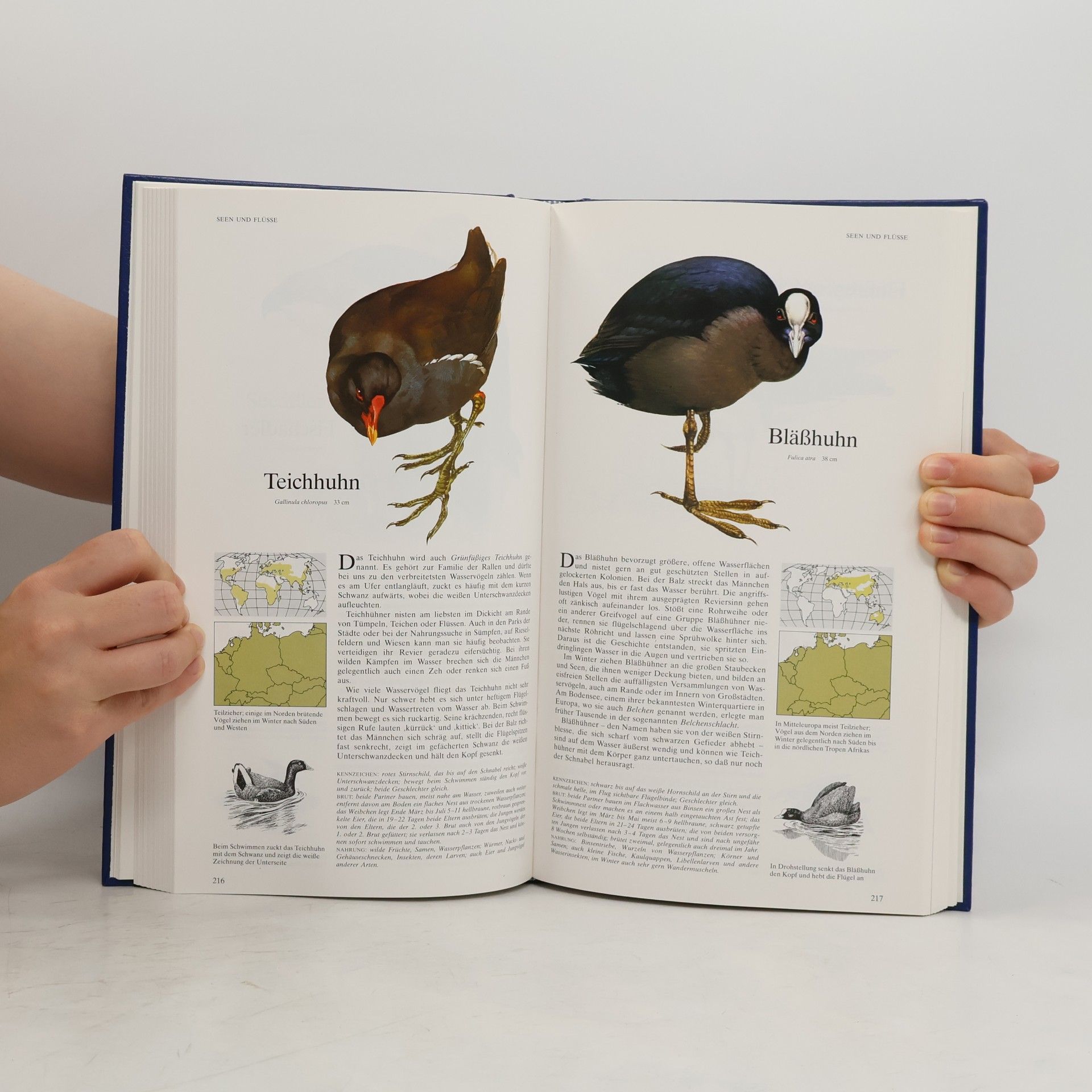 Richard Sidney Buch der Vogelwelt. Mitteleuropa