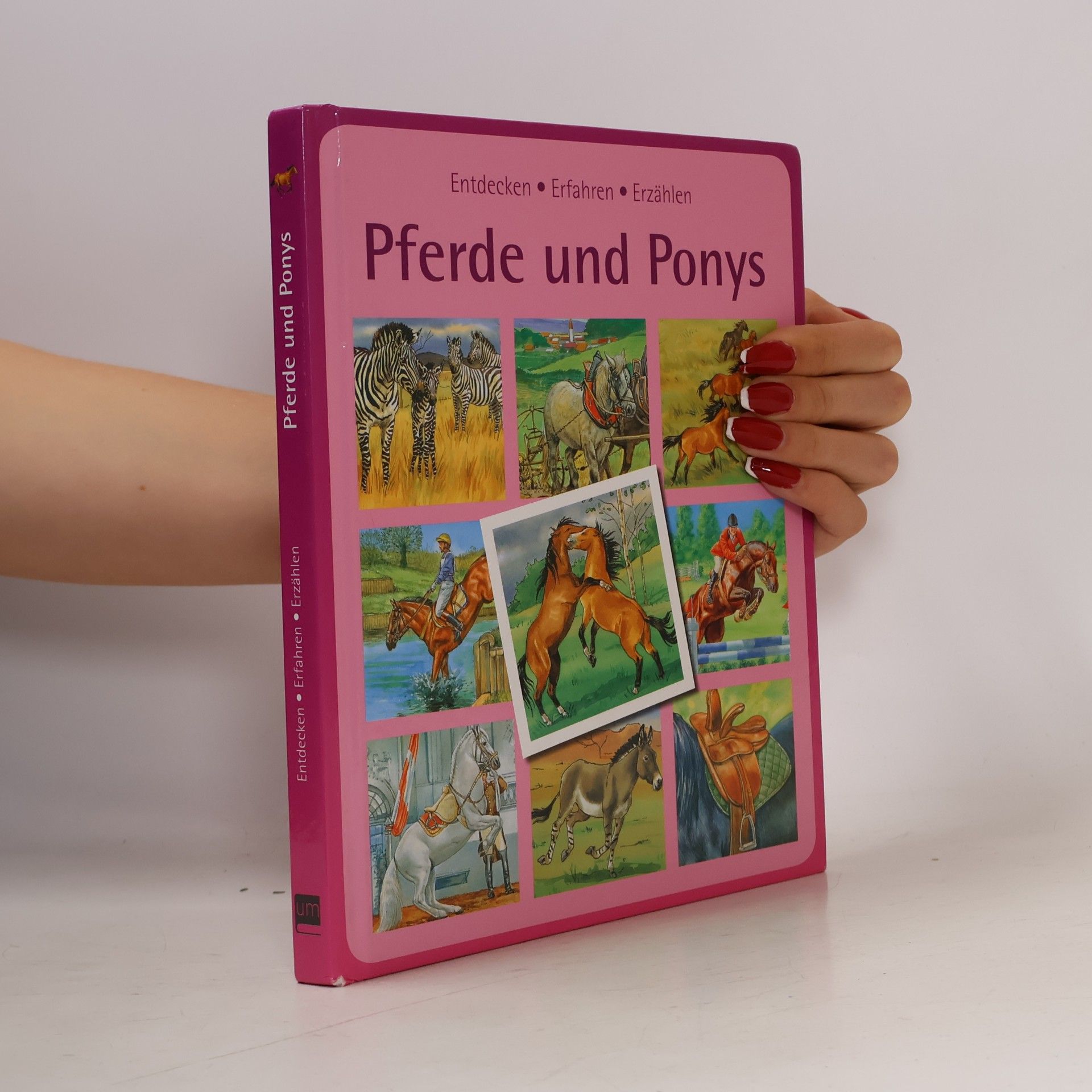 Autorenkollektiv Pferde und Ponys