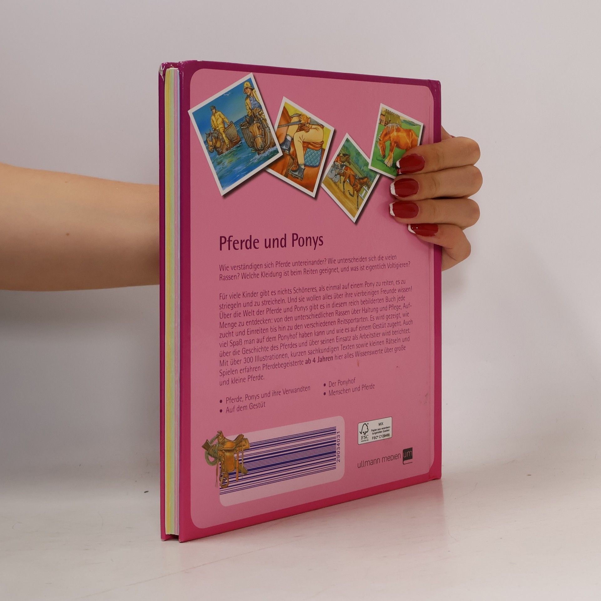 Autorenkollektiv Pferde und Ponys