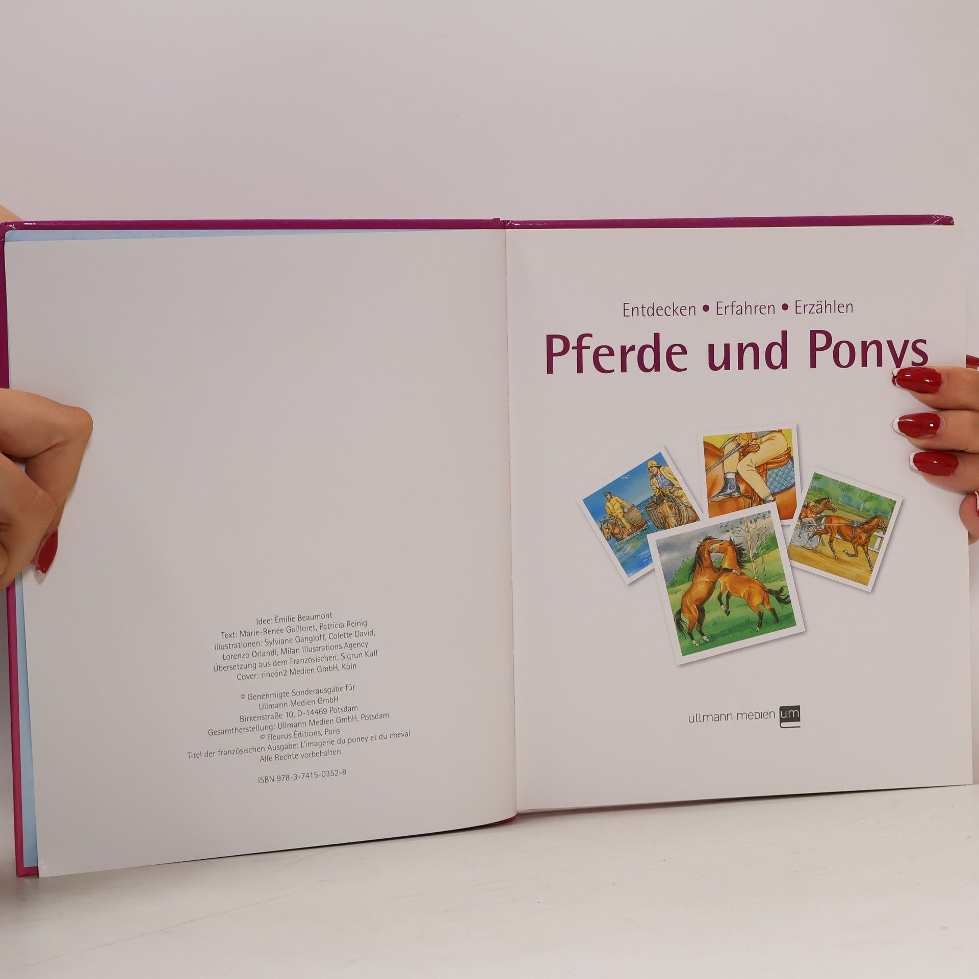 Autorenkollektiv Pferde und Ponys