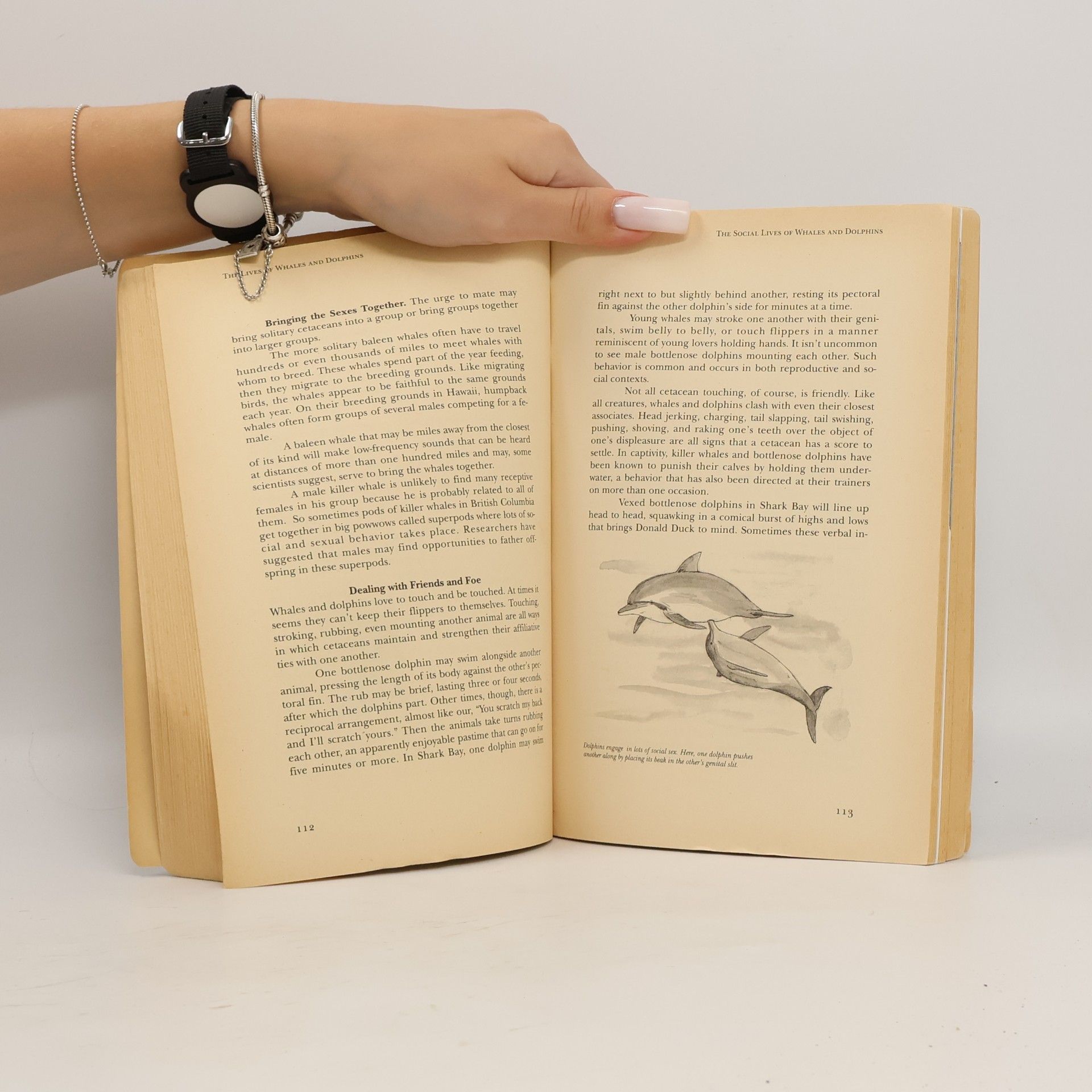 Richard C. Connor The Lives of Whales and Dolphins