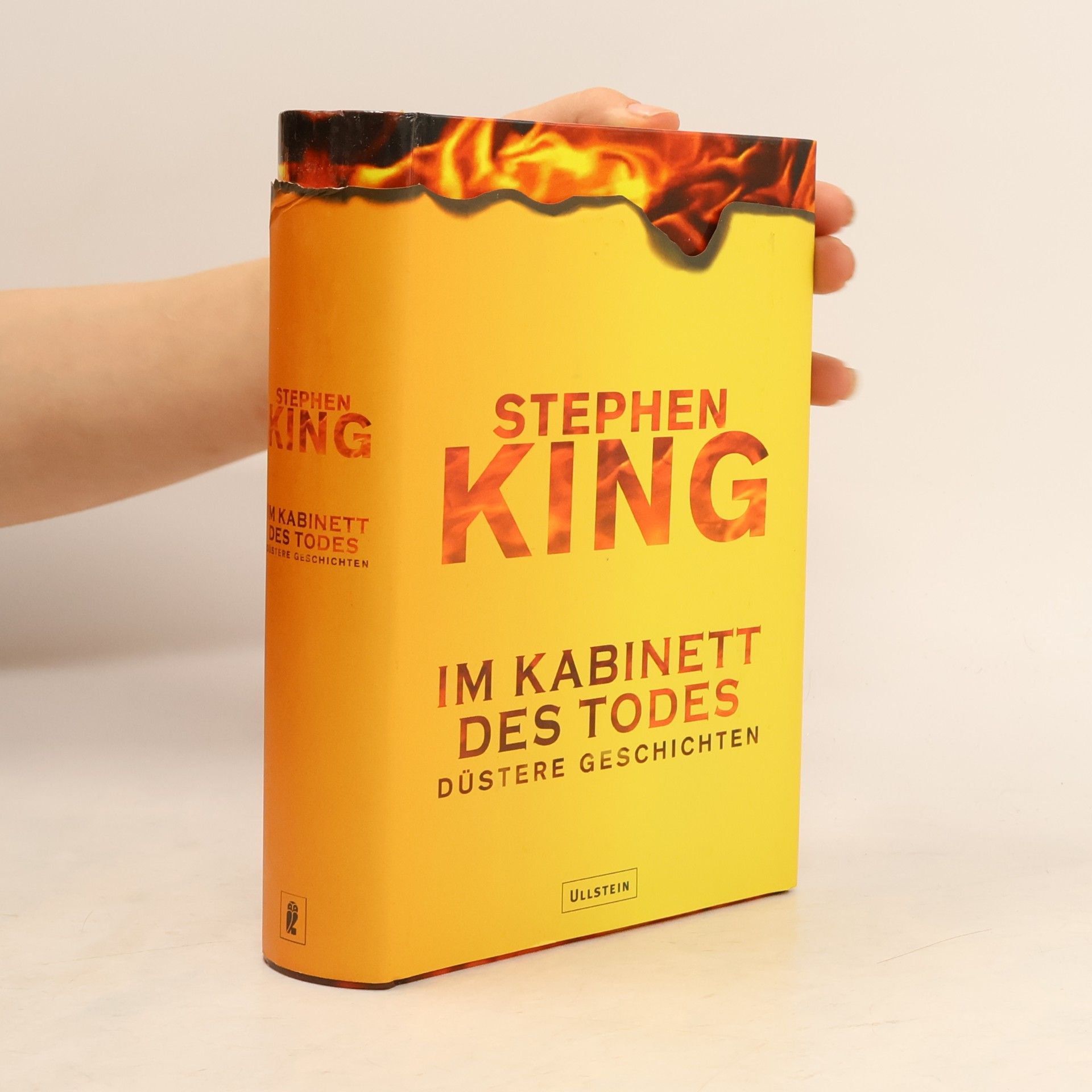 Stephen King Im Kabinett des Todes