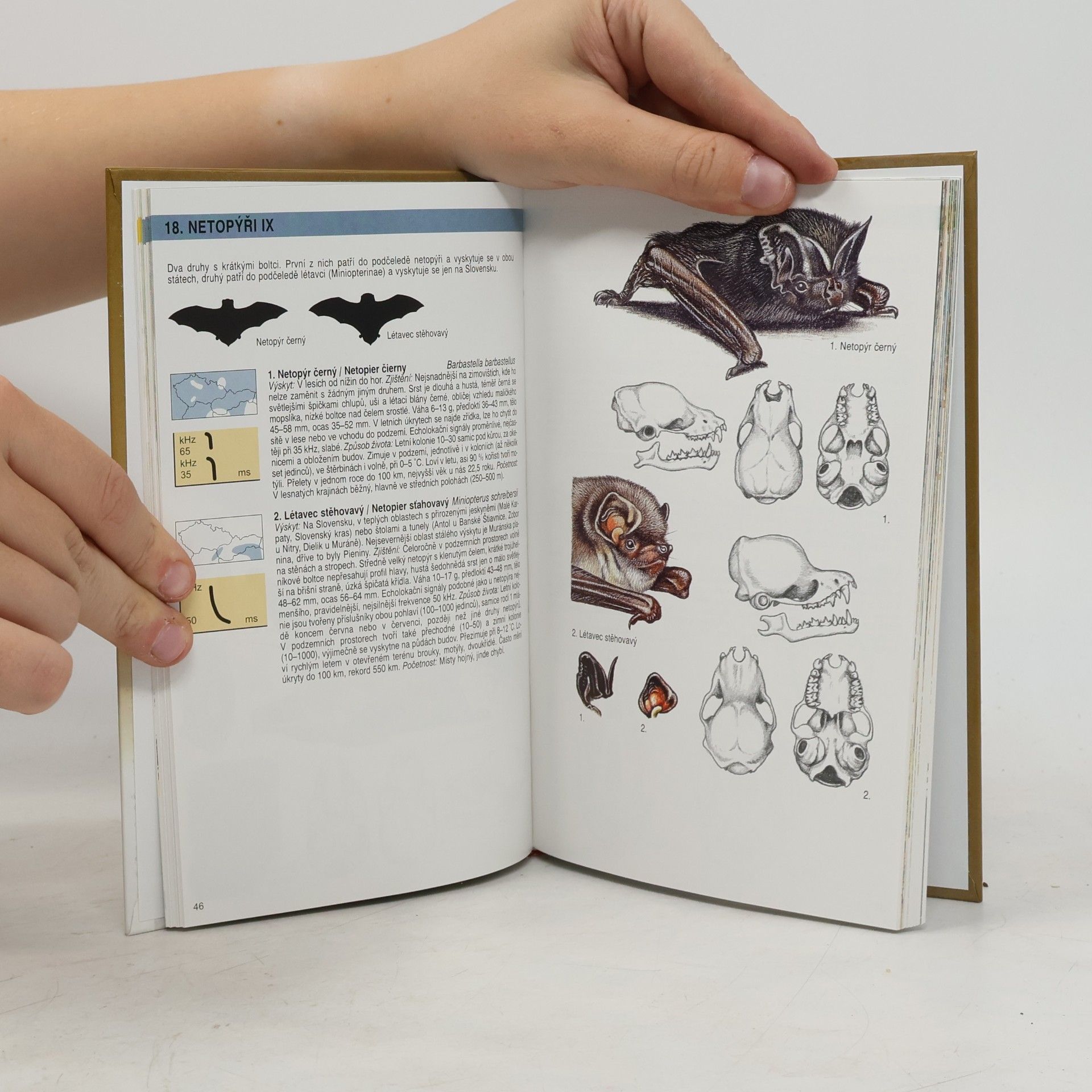 Jiří Gaisler Atlas savců České a Slovenské republiky