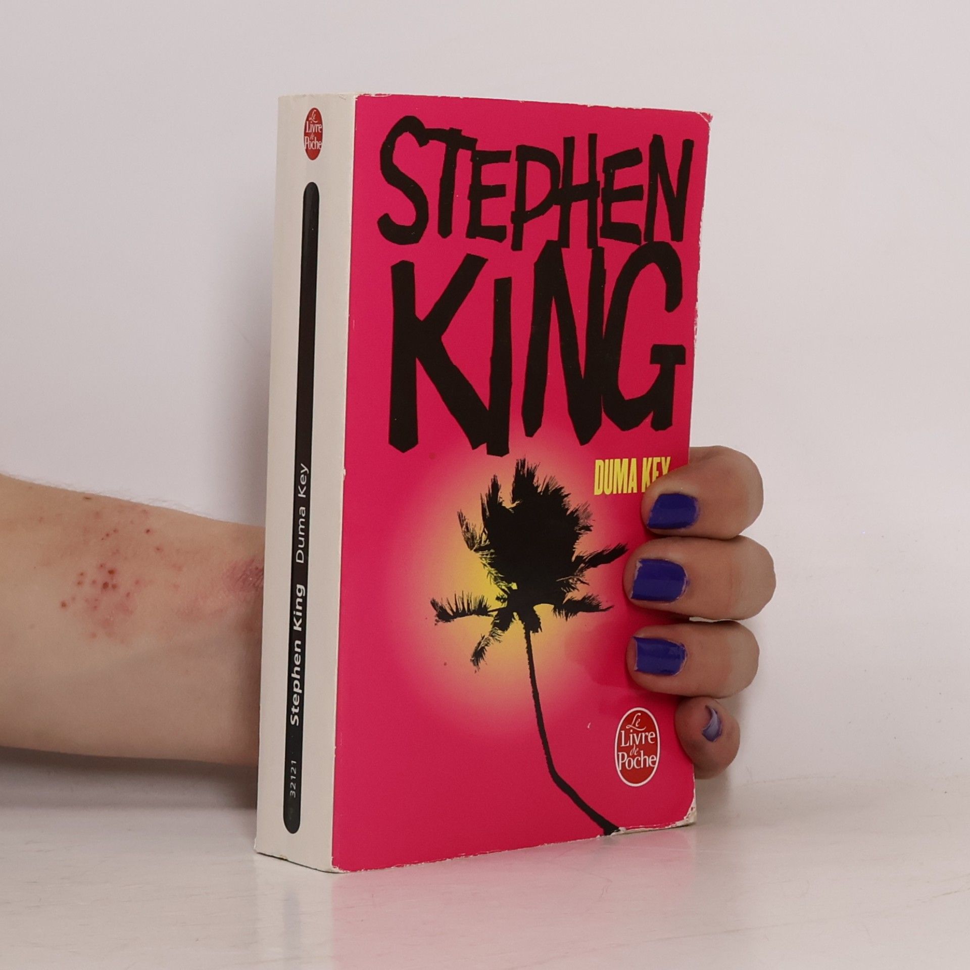 Stephen King Duma Key