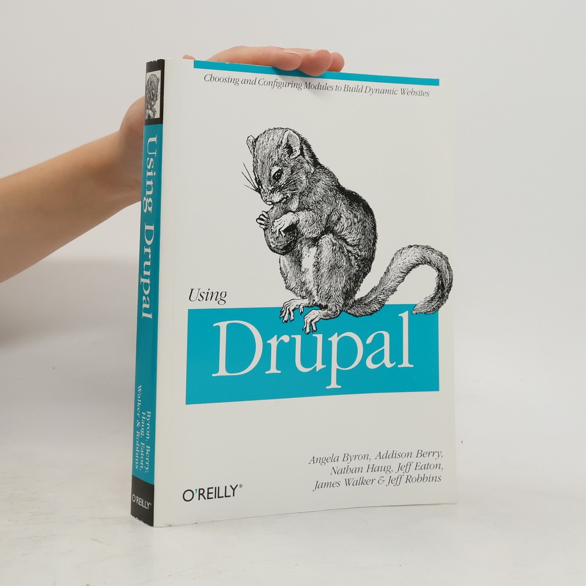 Addison Berry Using Drupal