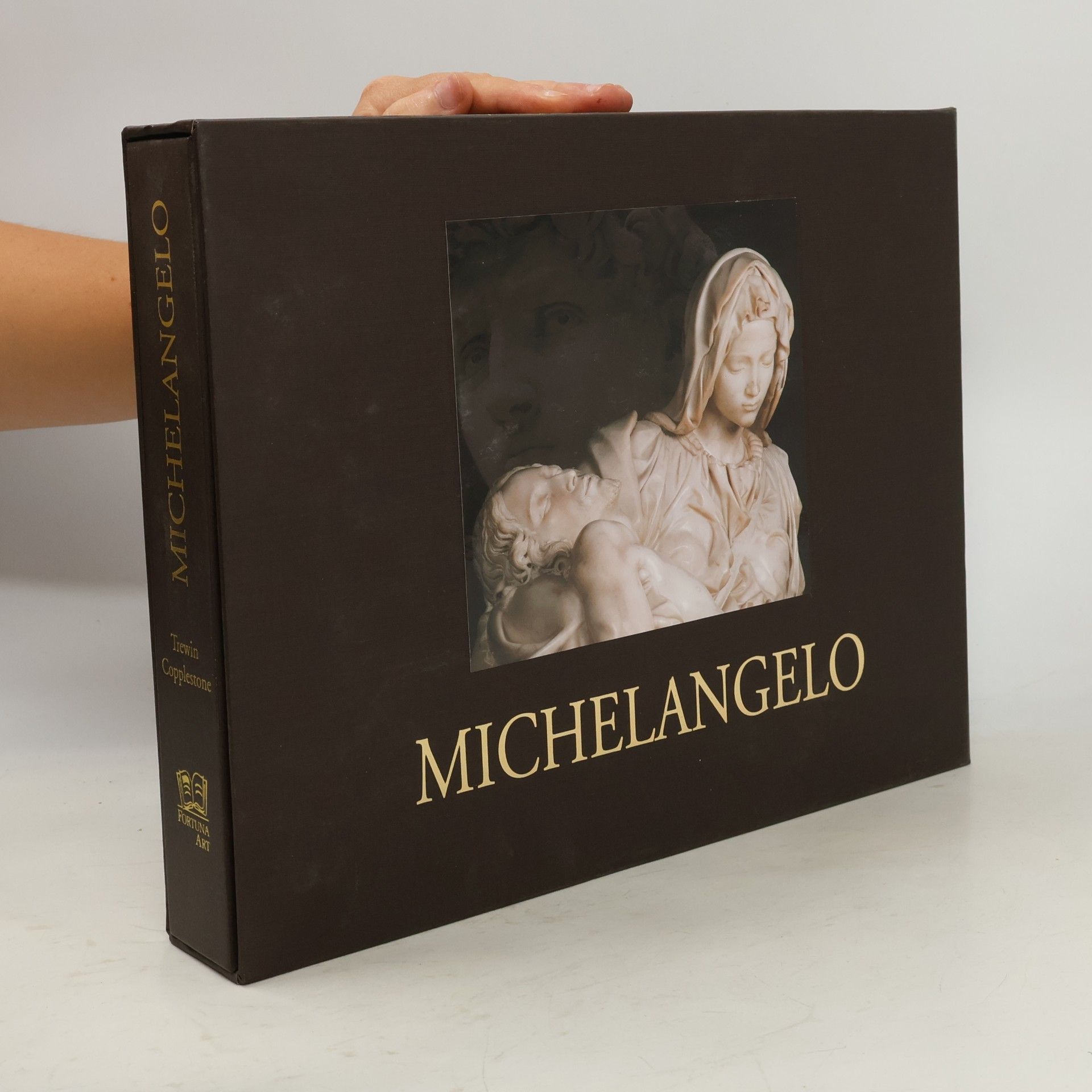 Trewin Copplestone Michelangelo