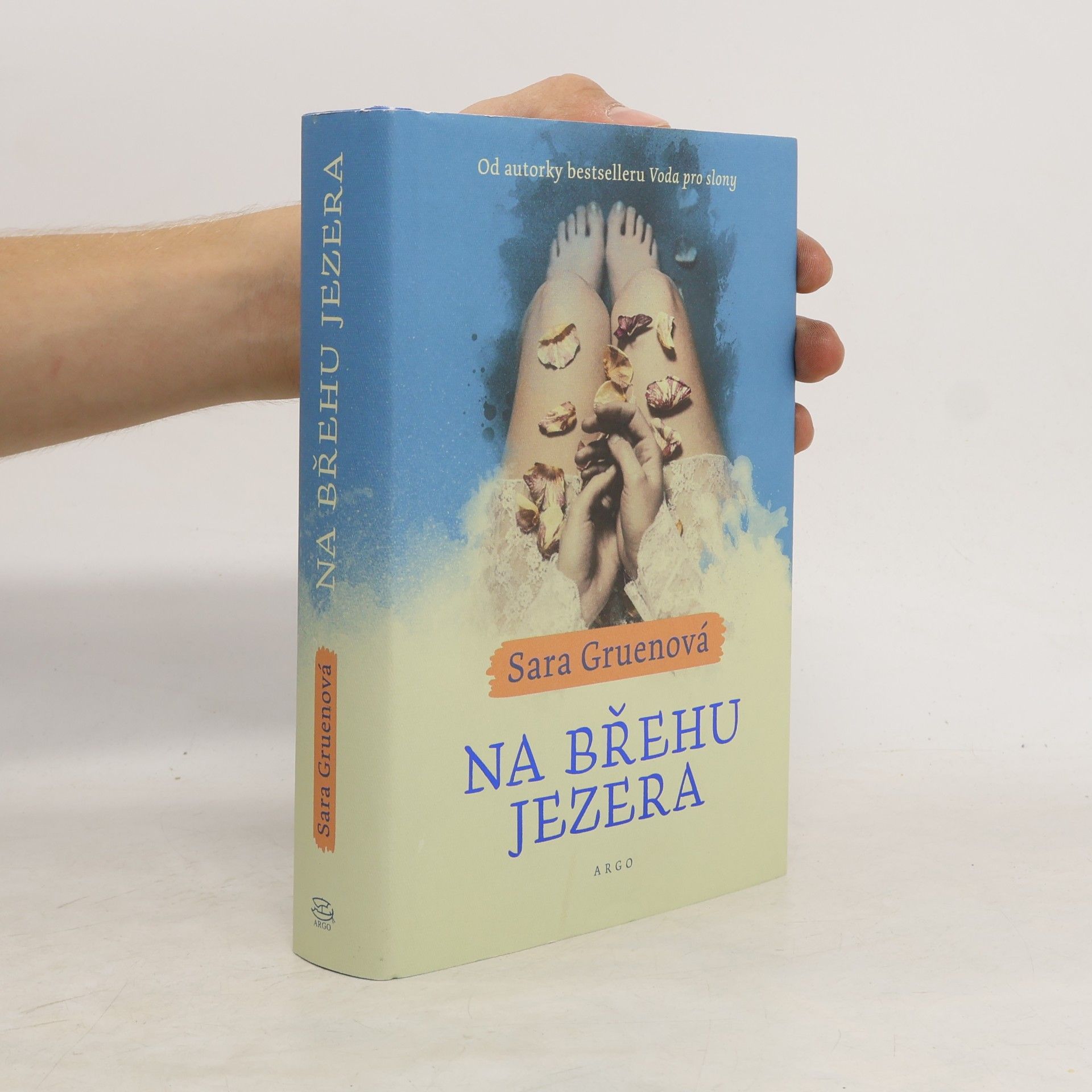 Sara Gruen Na břehu jezera