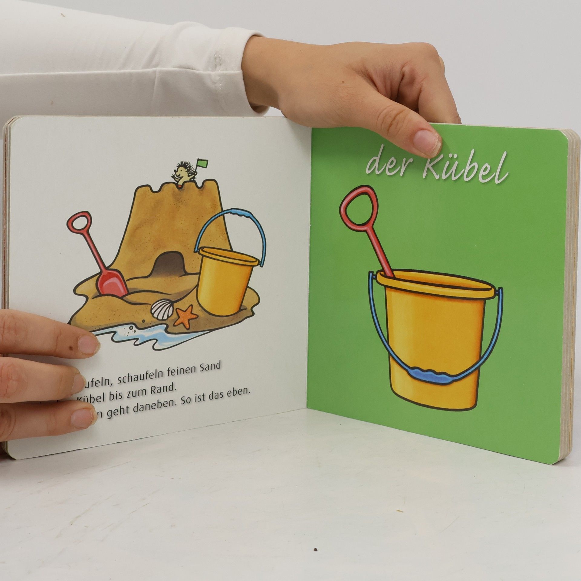 Lene Mayer-Skumanz Der Teddy - Mein erstes Buch