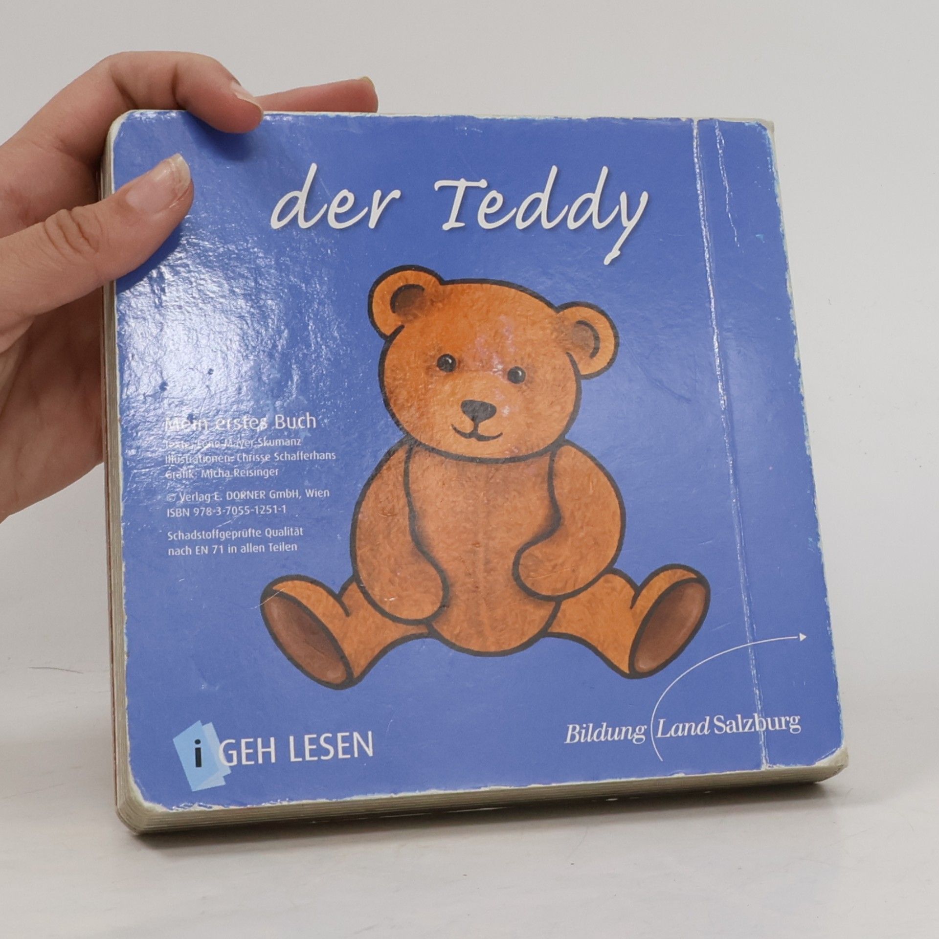 Lene Mayer-Skumanz Der Teddy - Mein erstes Buch