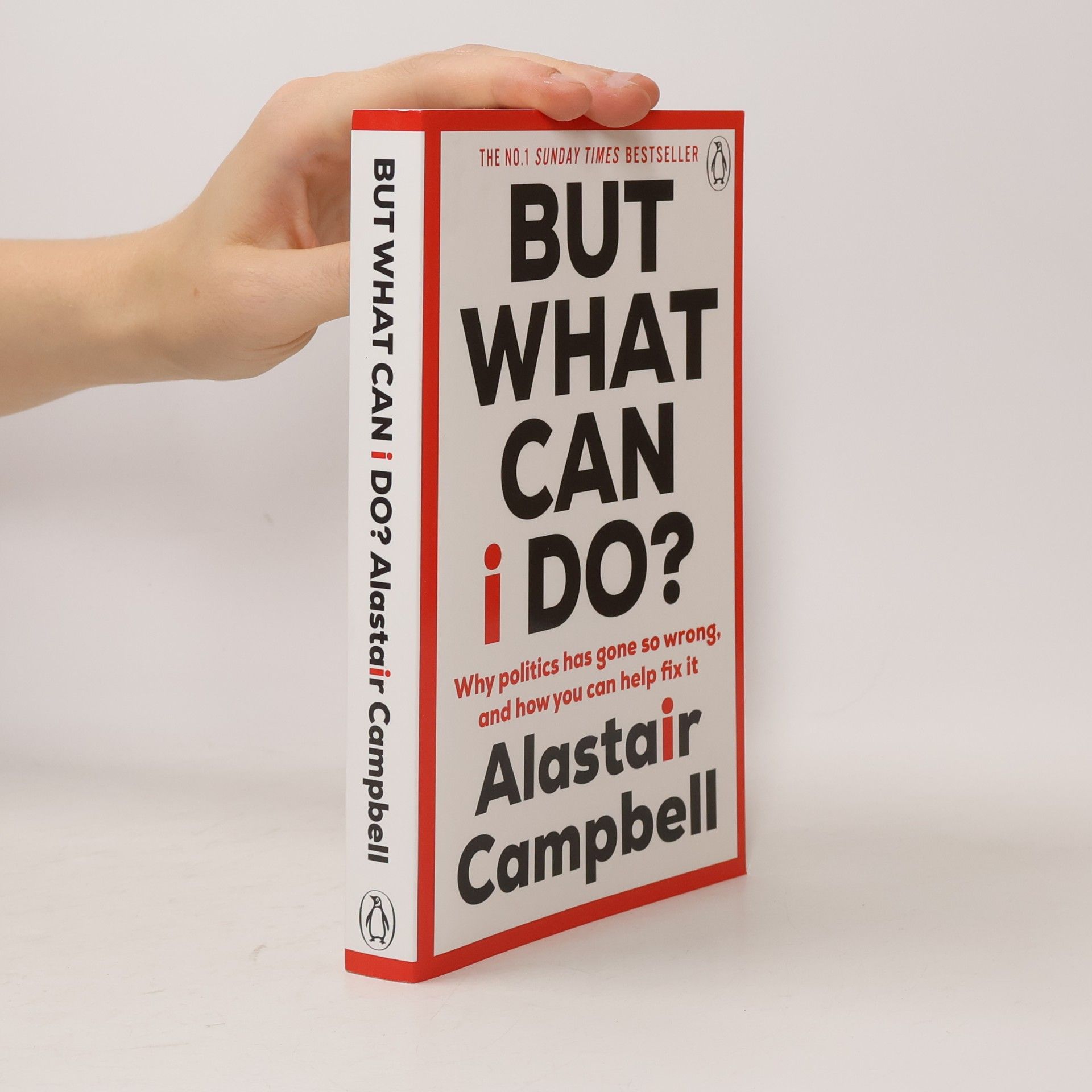 Alastair Campbell But What Can I Do?
