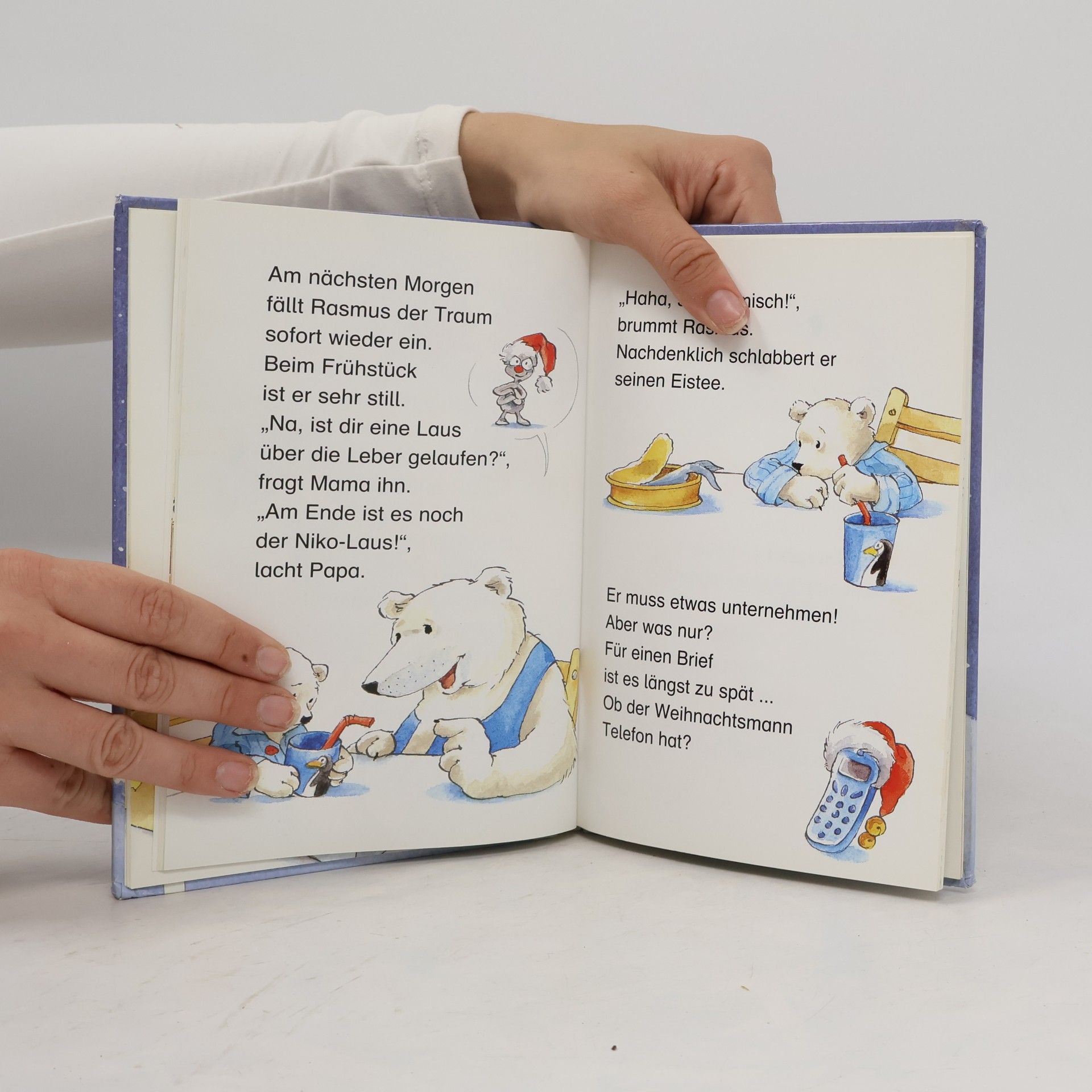 Hermien Stellmacher Der kleine Eisbär freut sich auf Weihnachten
