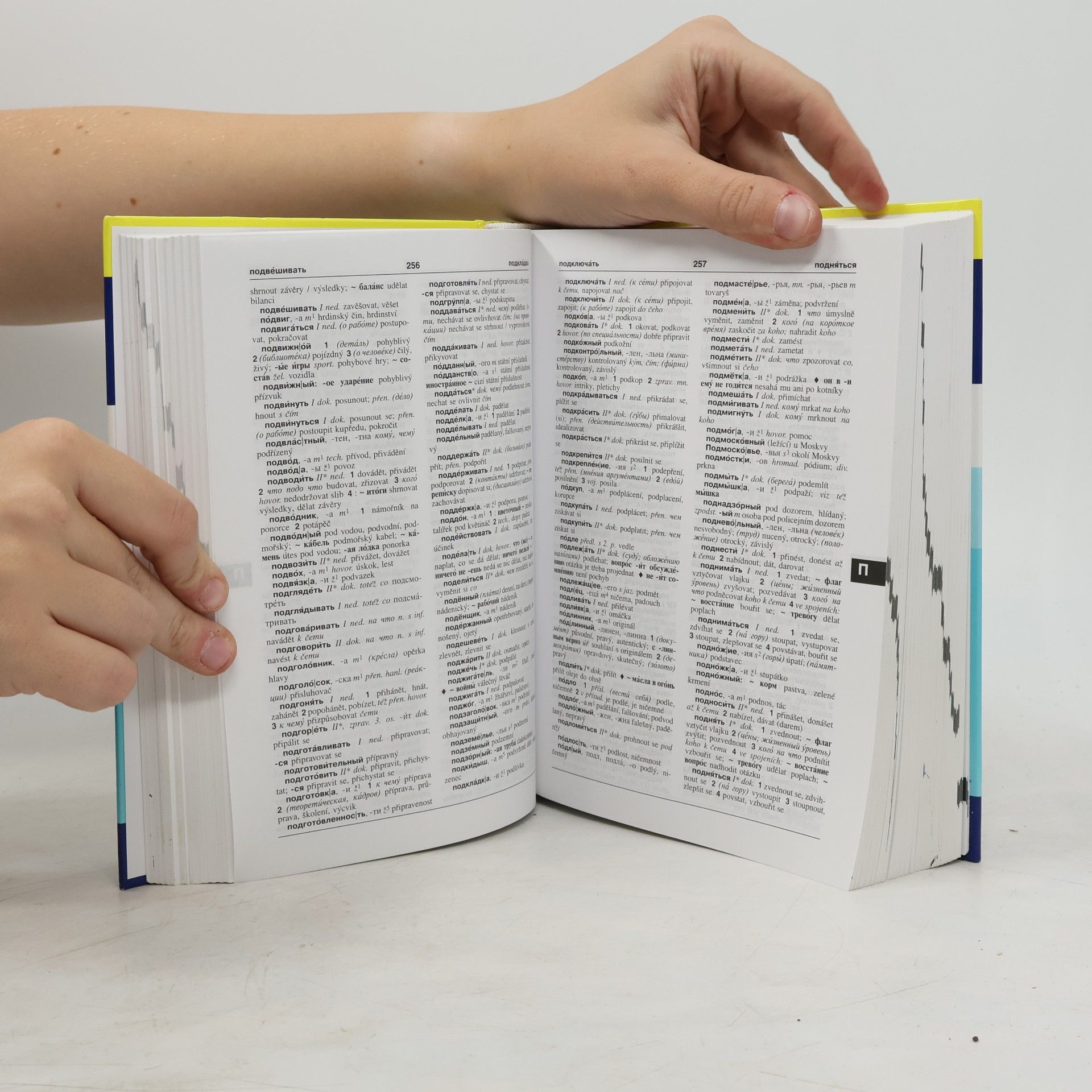 Autorenkollektiv Rusko-český a česko-ruský slovník