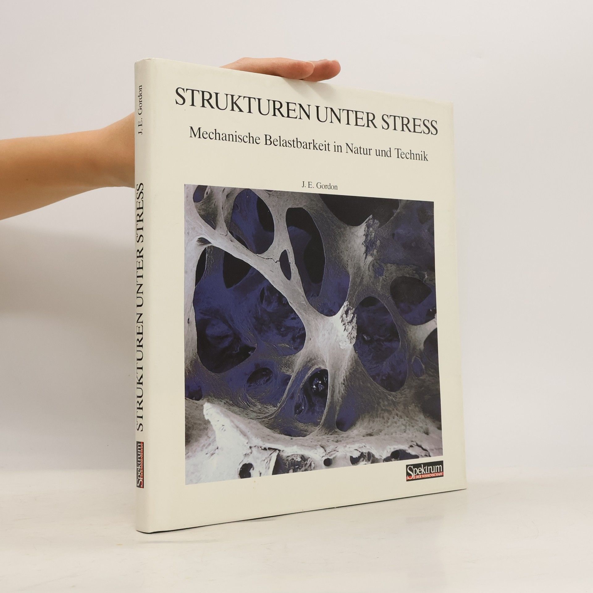 J. E. Gordon Strukturen unter Stress