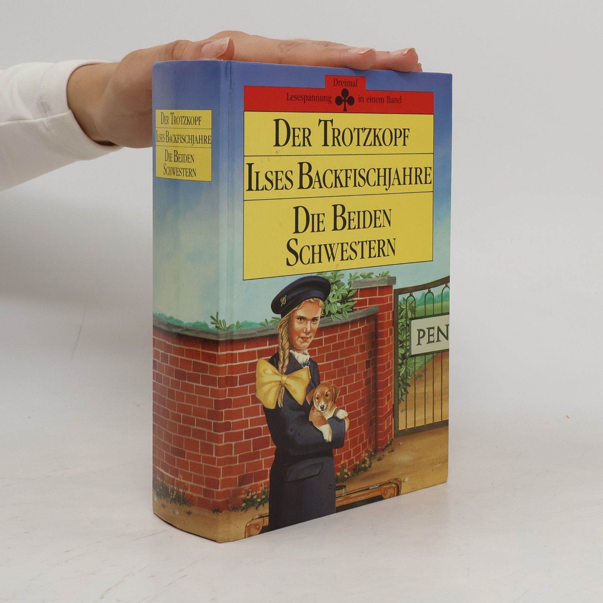 Autorenkollektiv Der Trotzkopf. Iles Backfischjahre. Die Beiden Schwestern