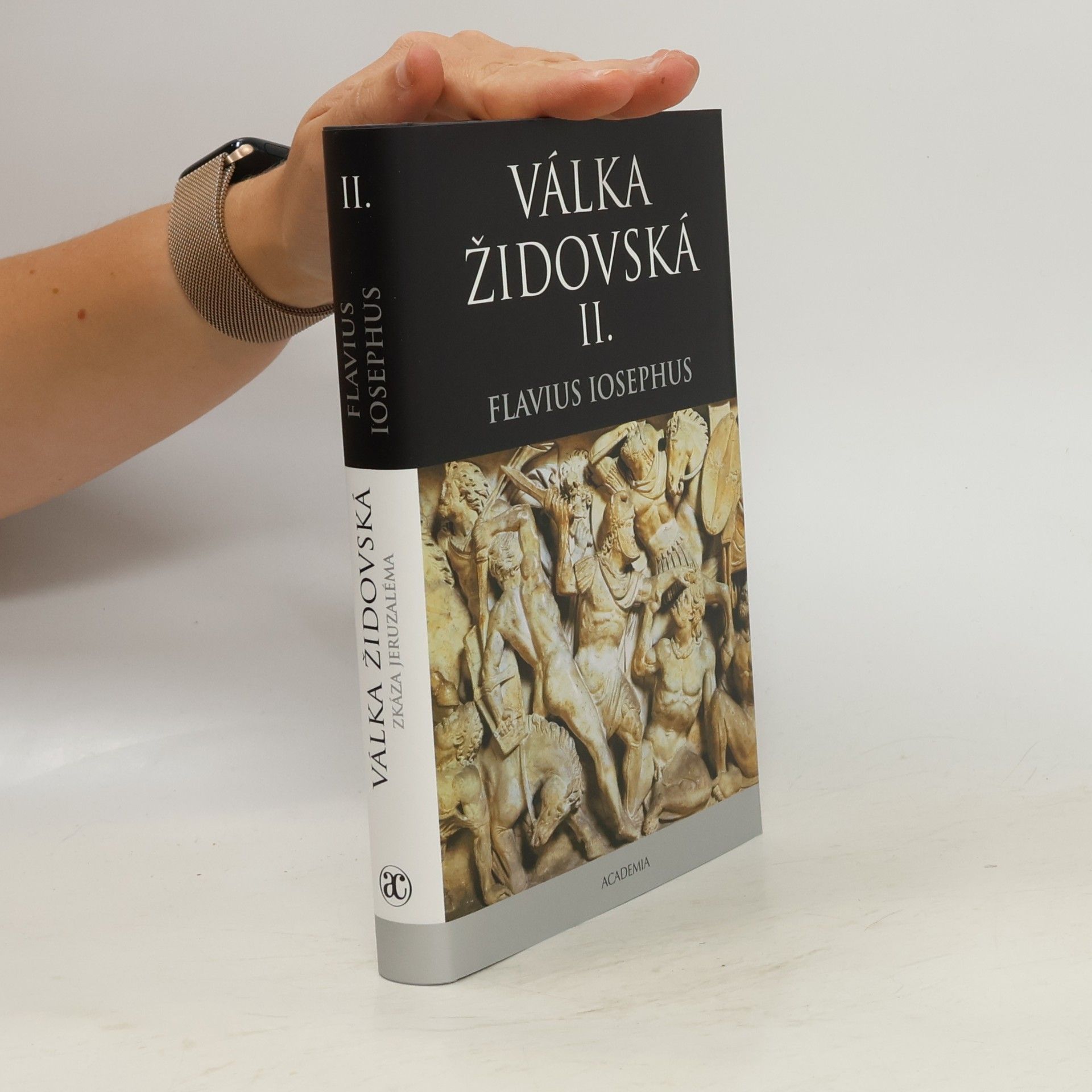 Válka židovská II.