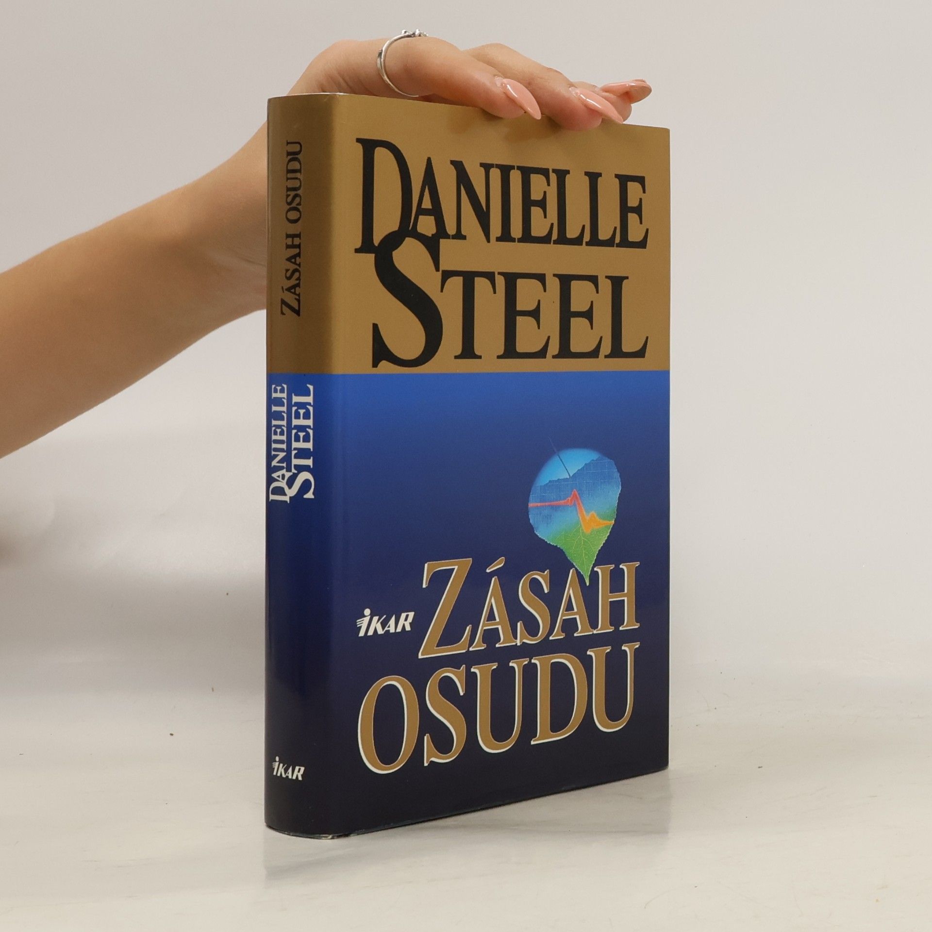 Danielle Steel Zásah osudu
