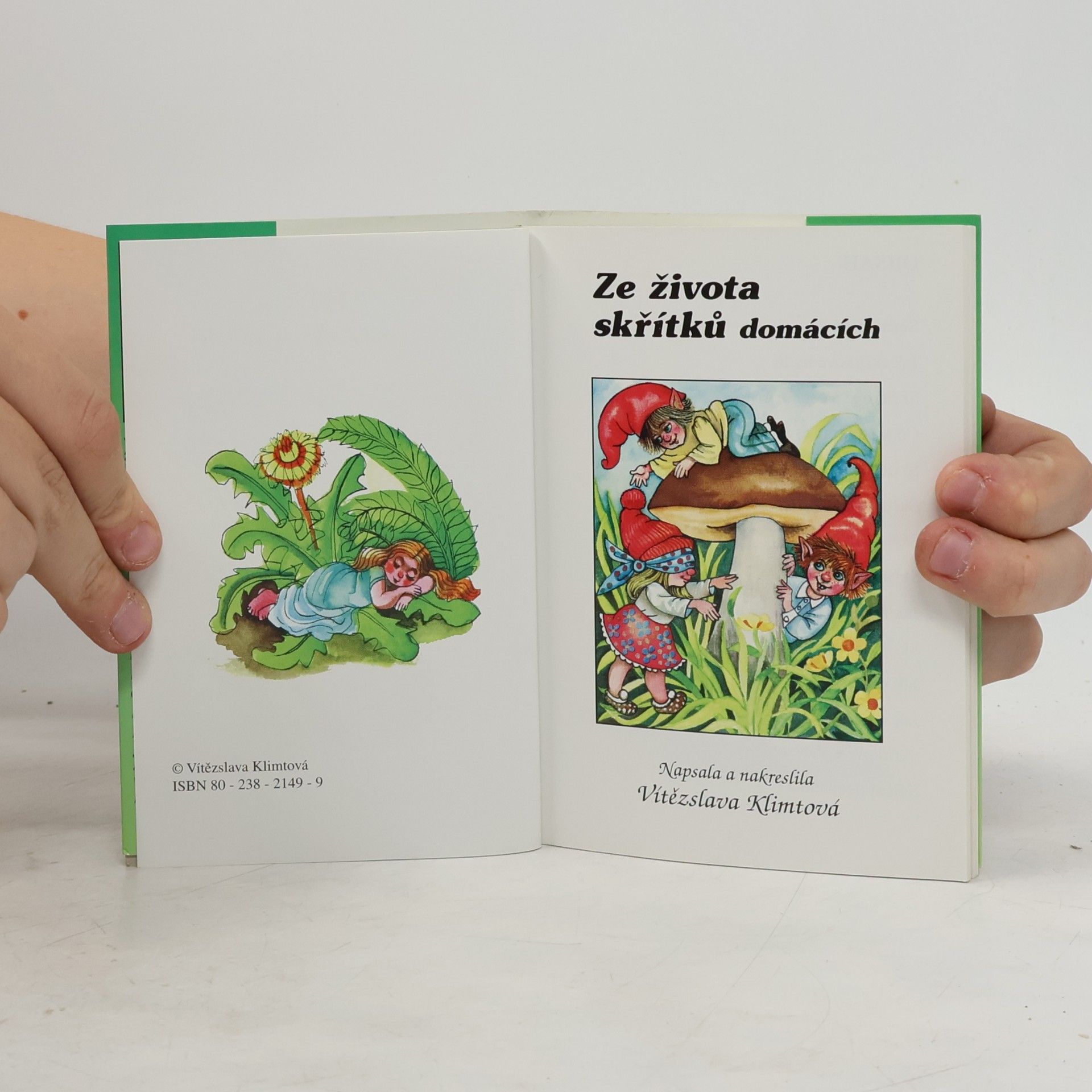 Vítězslava Klimtová Ze života skřítků domácích