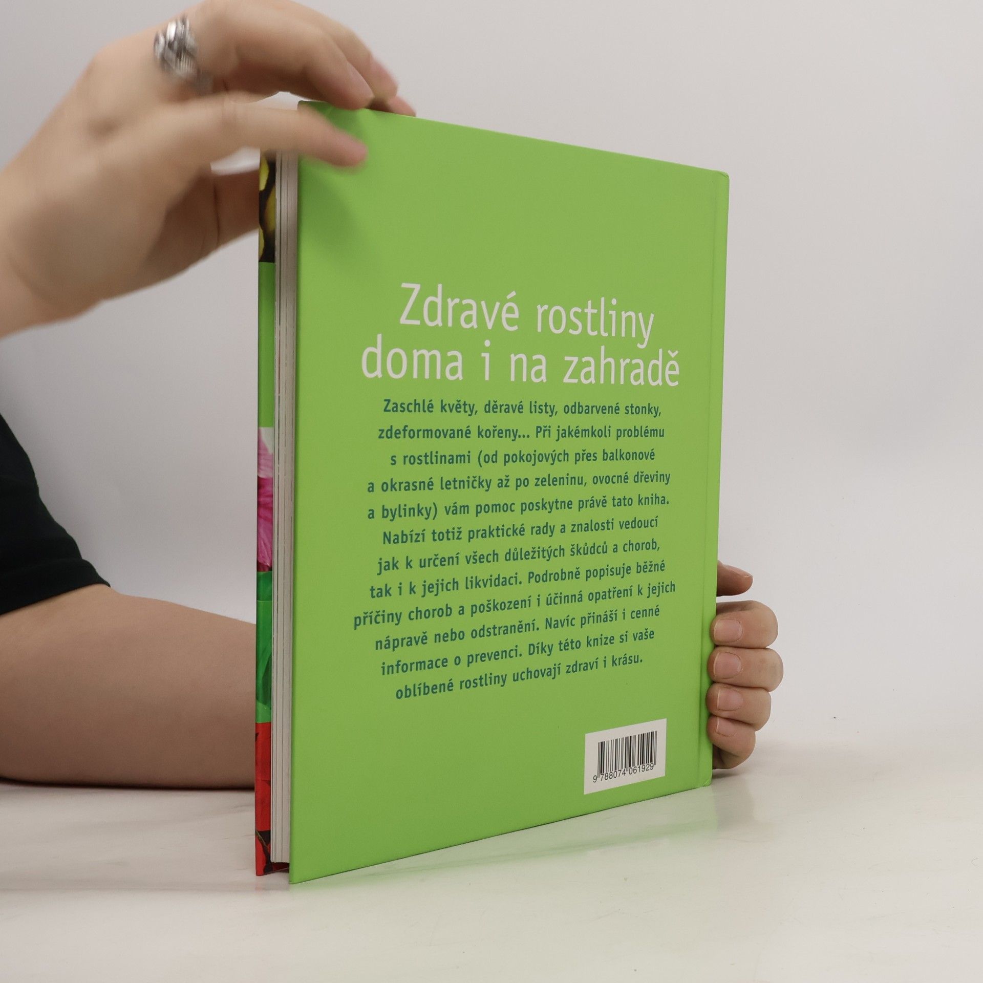 Michael Ernst-Pörksen Zdravé rostliny doma i na zahradě