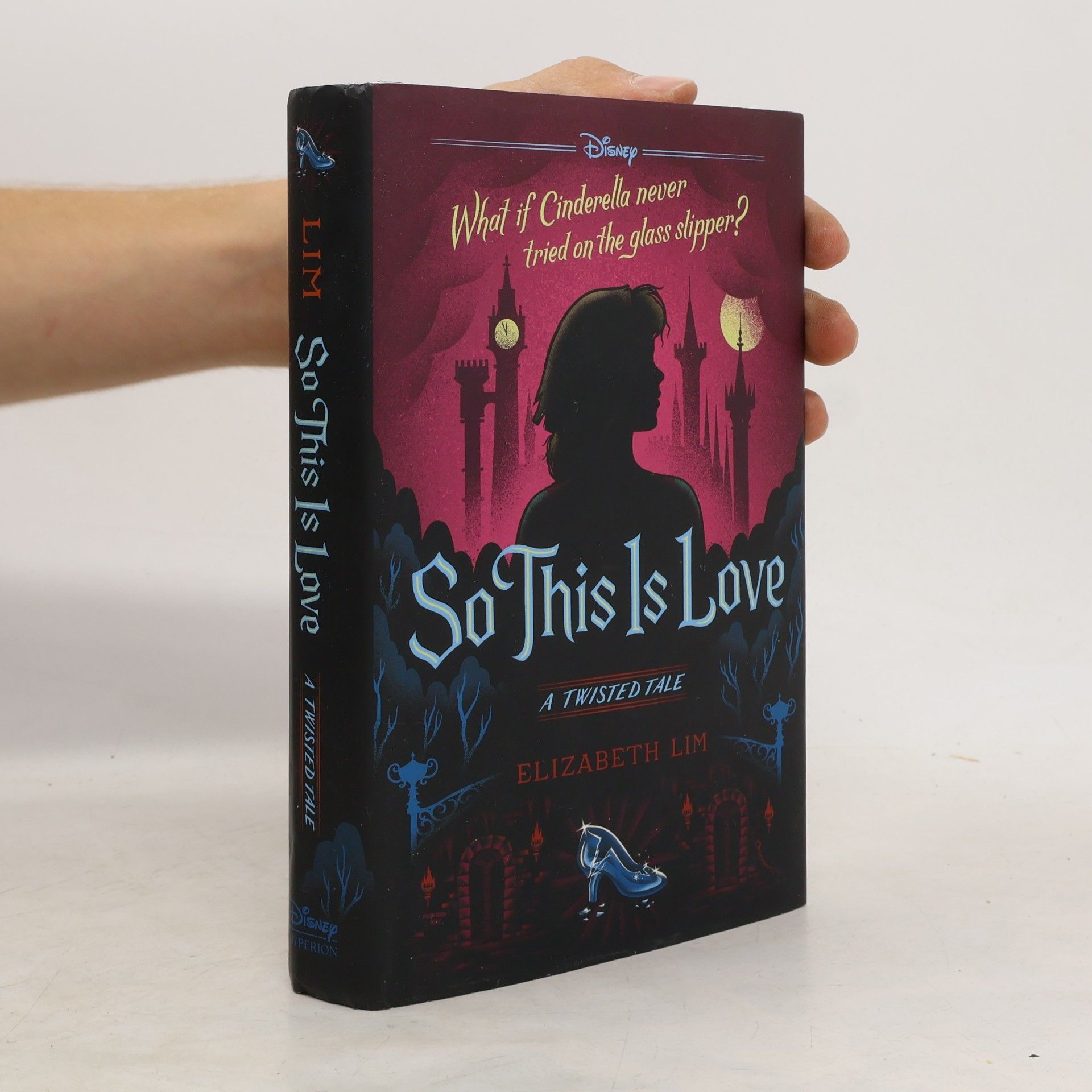 Elizabeth Lim So this is love. A twisted tale