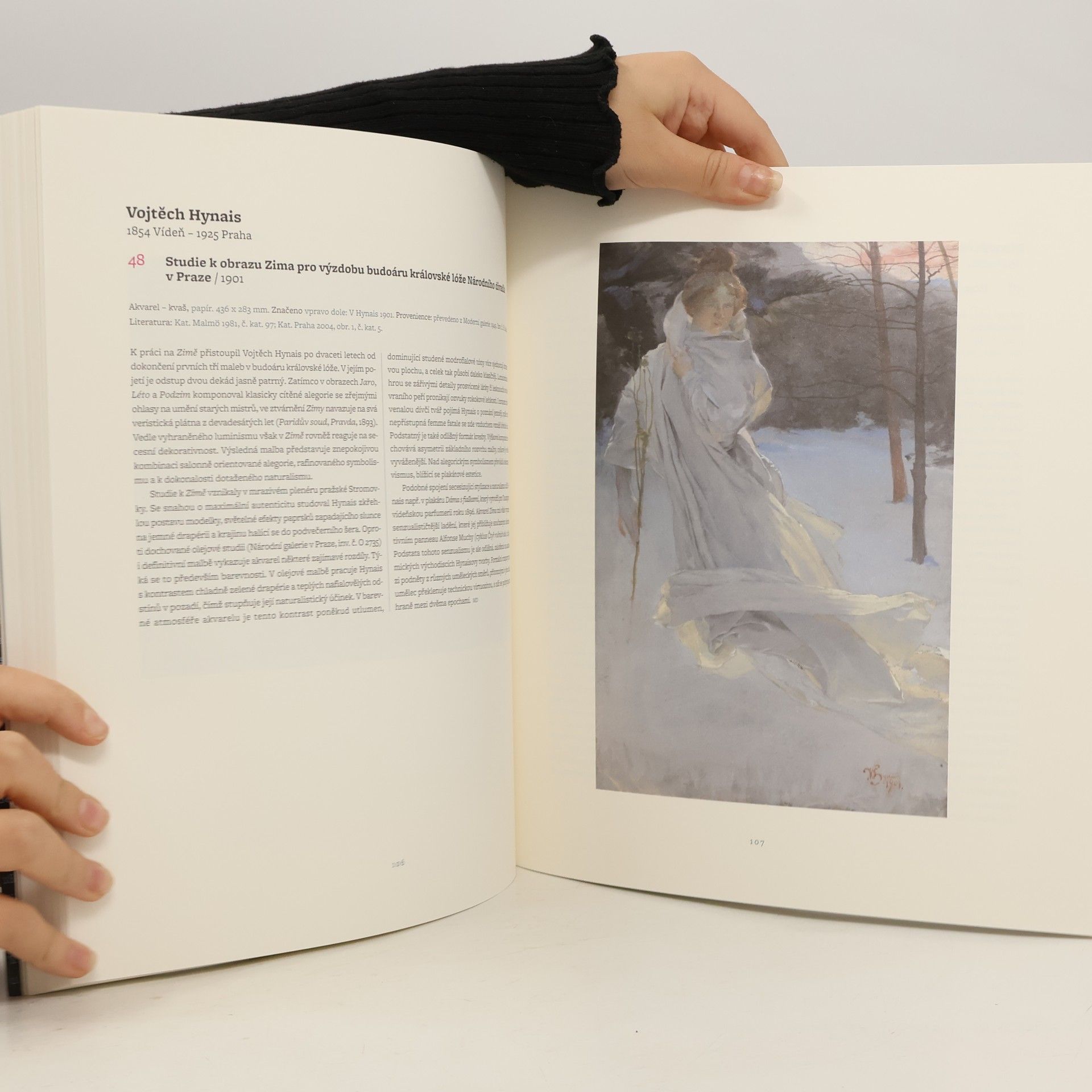 Autorenkollektiv 101 Mistrovská díla: Sbírky grafiky a kresby II.