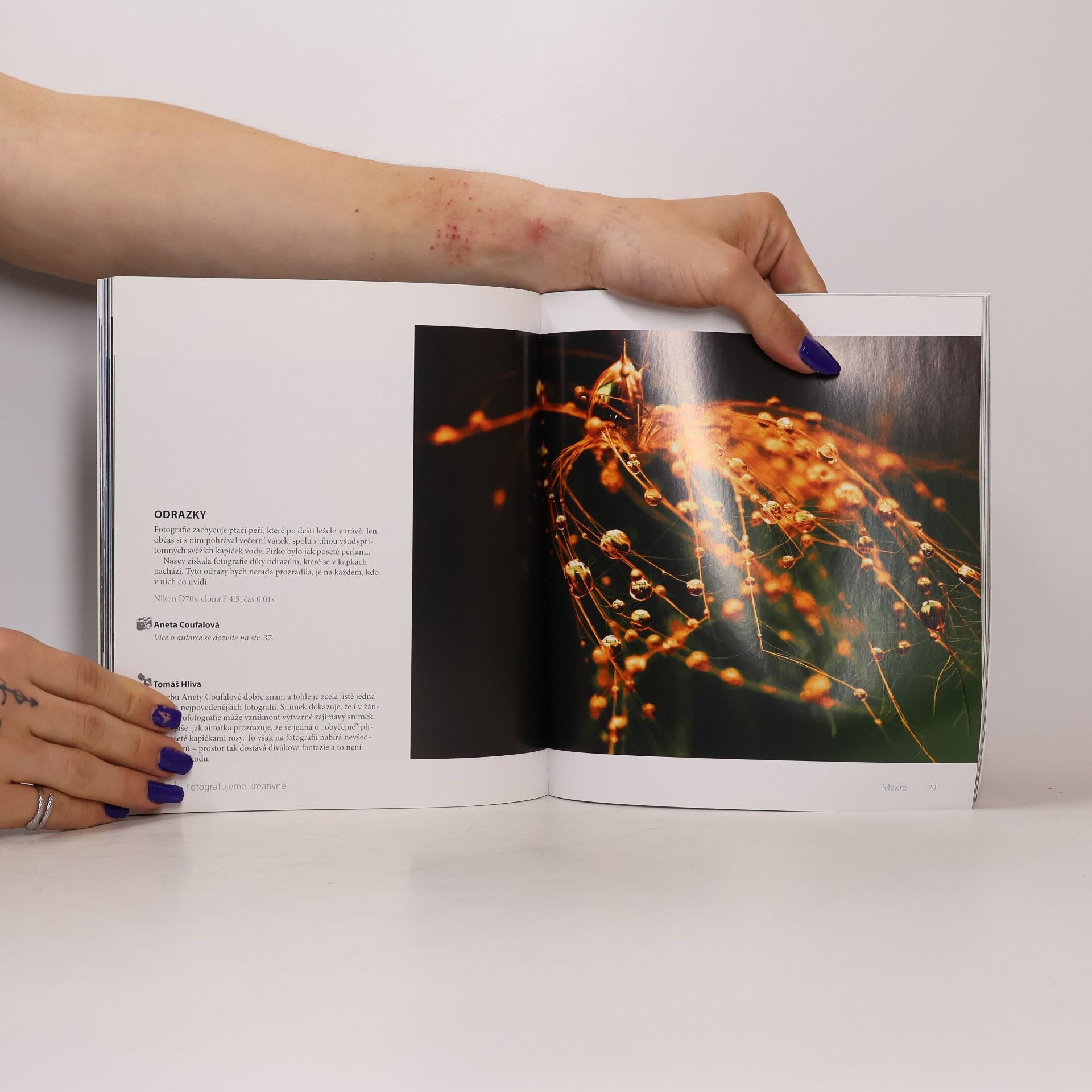 Autorenkollektiv Fotografujeme kreativně