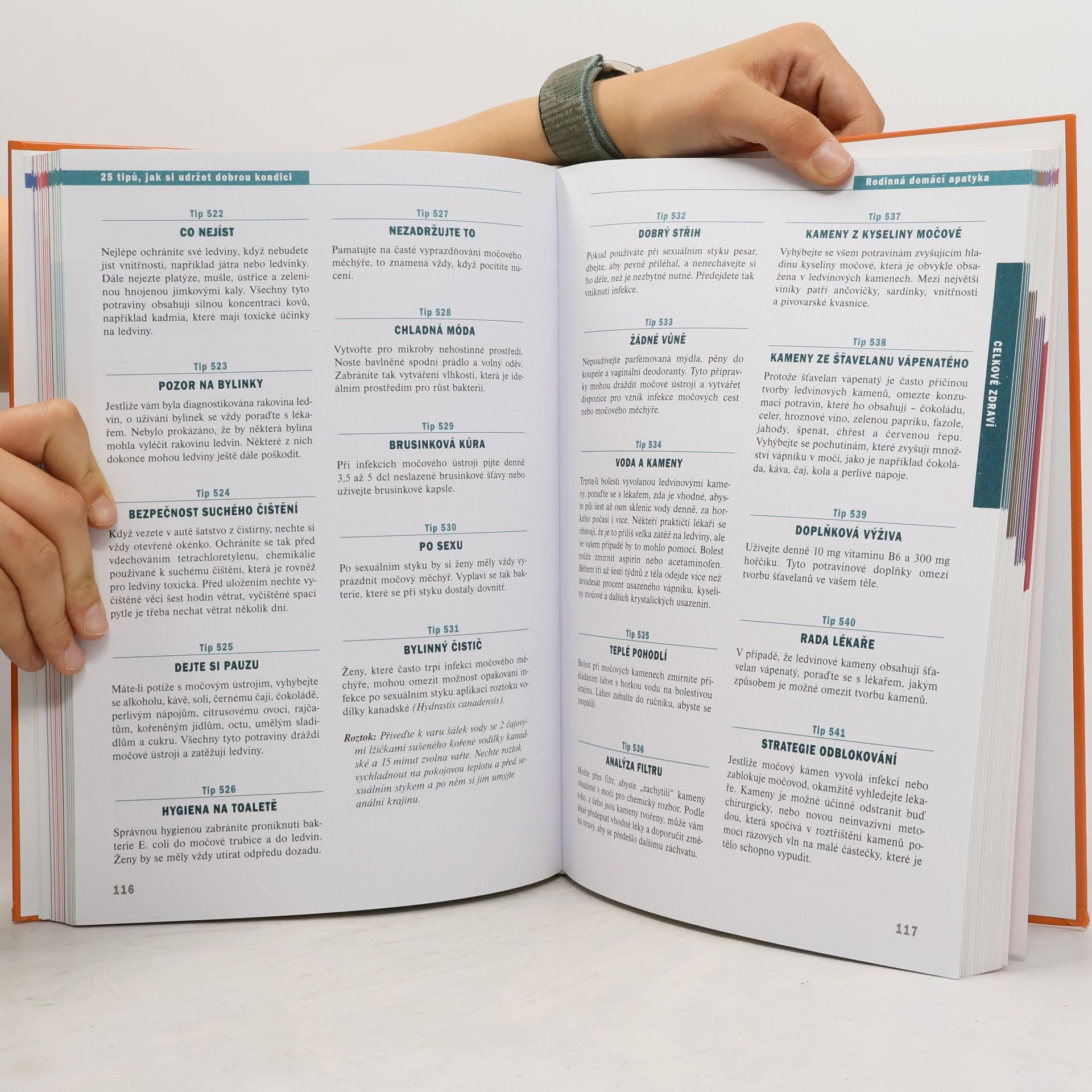 Autorenkollektiv Rodinná domácí apatyka : 1001 tip, jak si udržet dobré zdraví