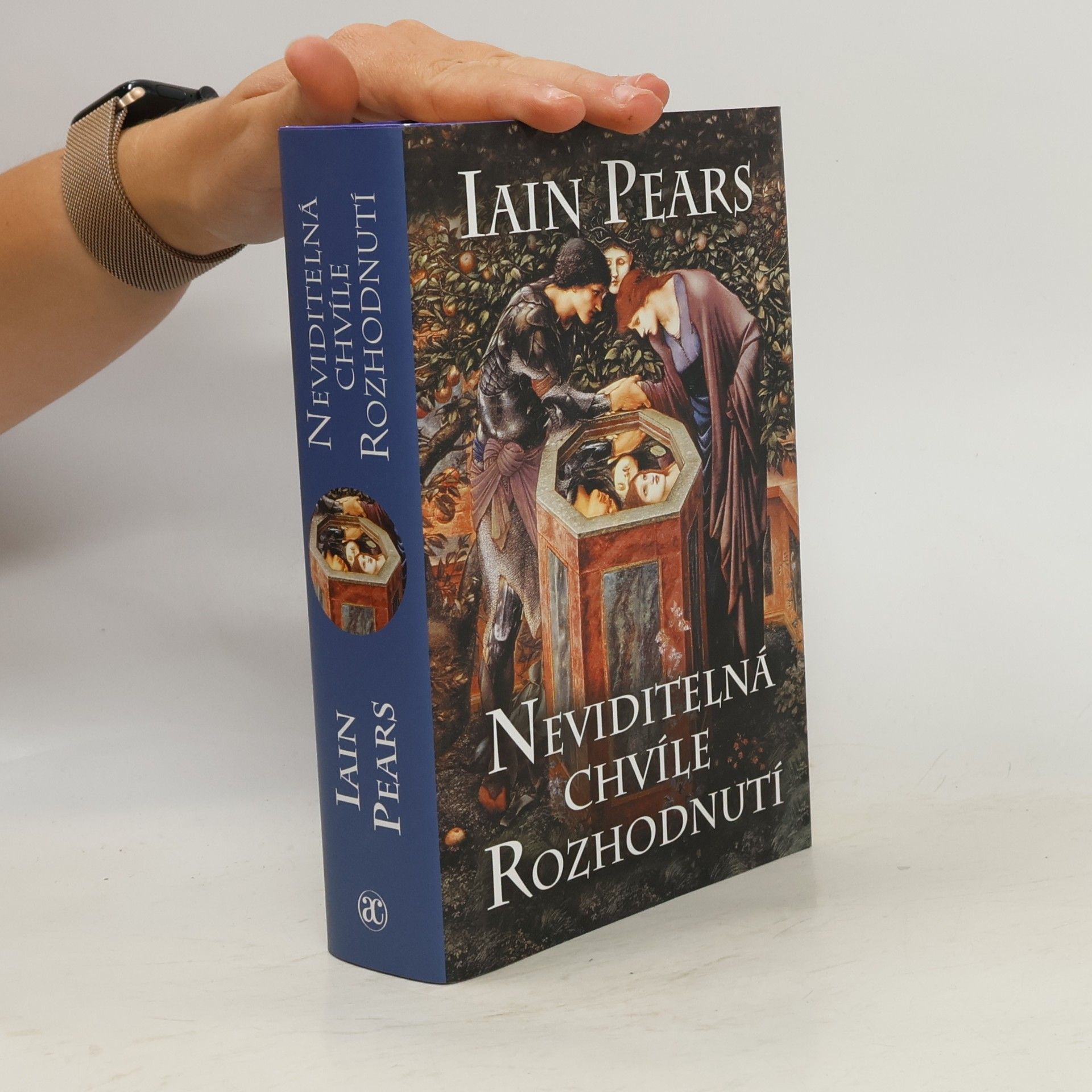 Iain Pears Neviditelná chvíle rozhodnutí