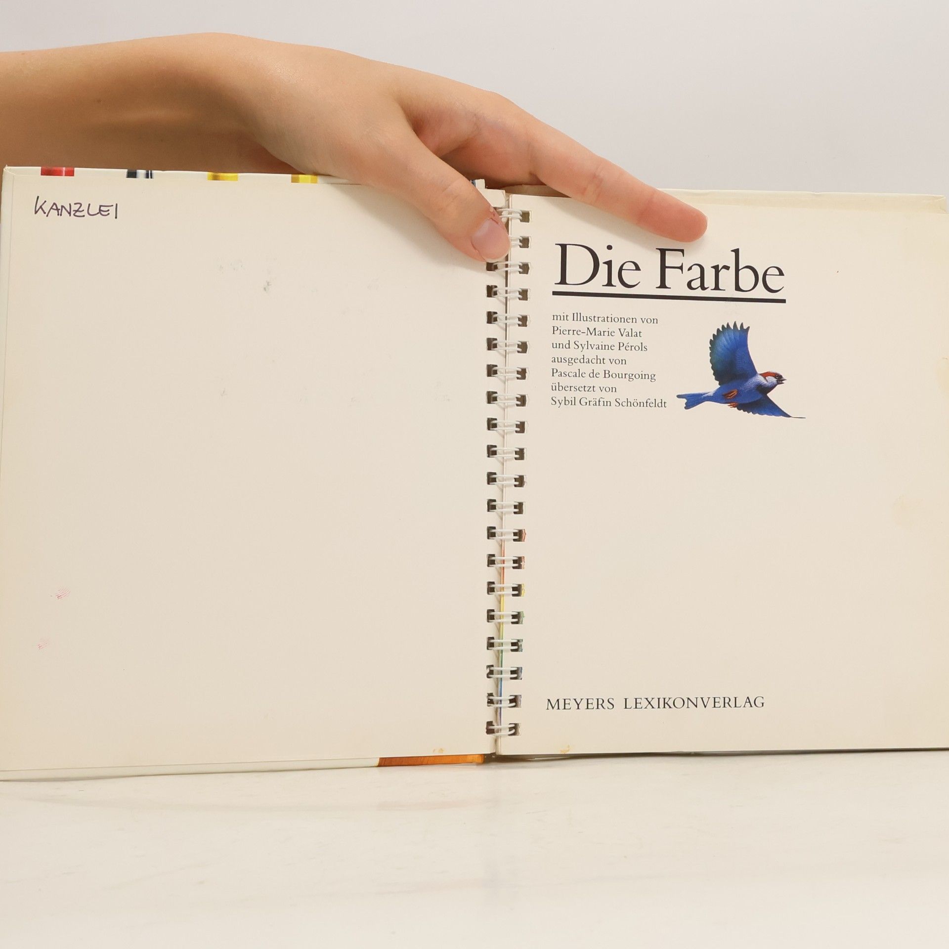 Autorenkollektiv Die Farbe