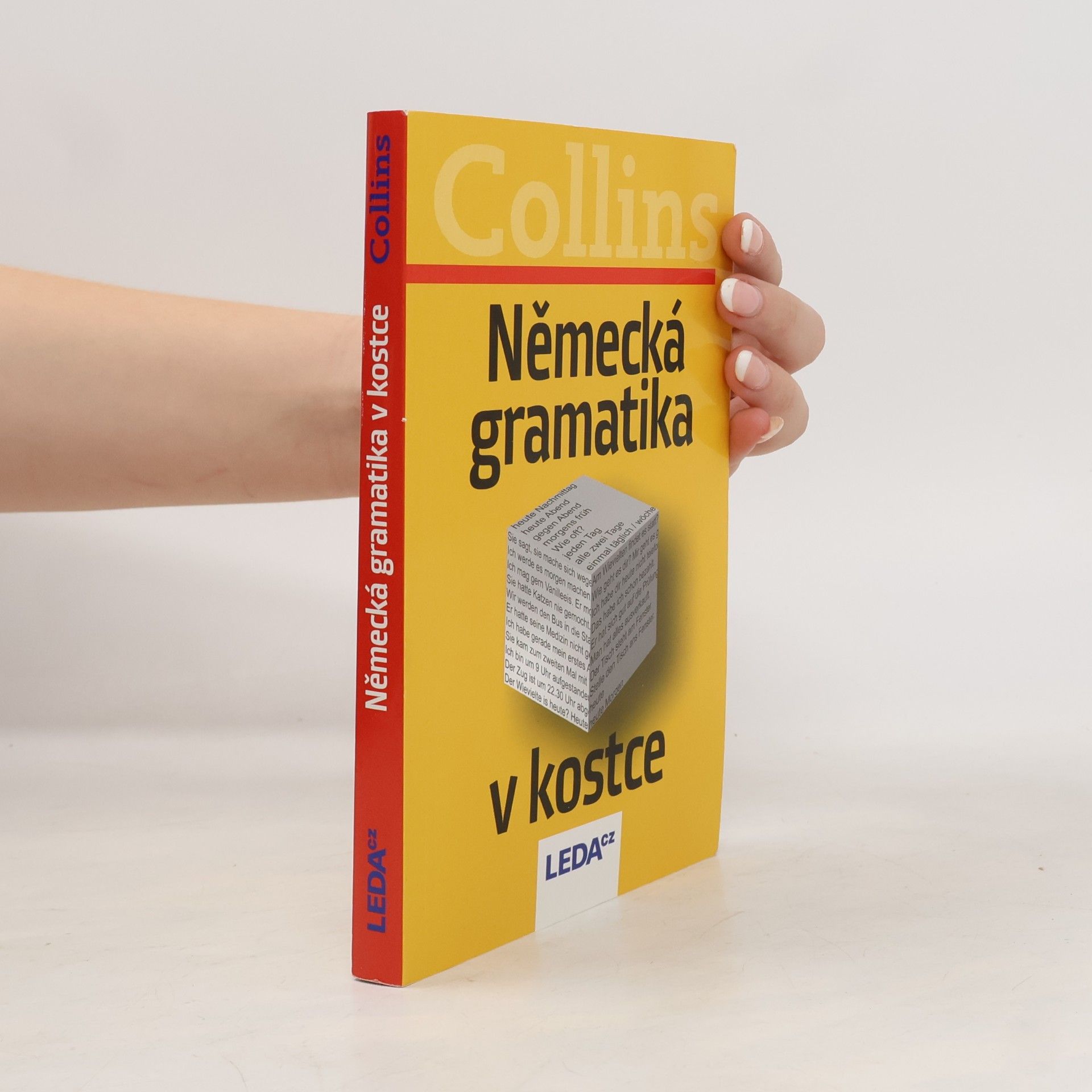 Kolektív autorov Německá gramatika v kostce