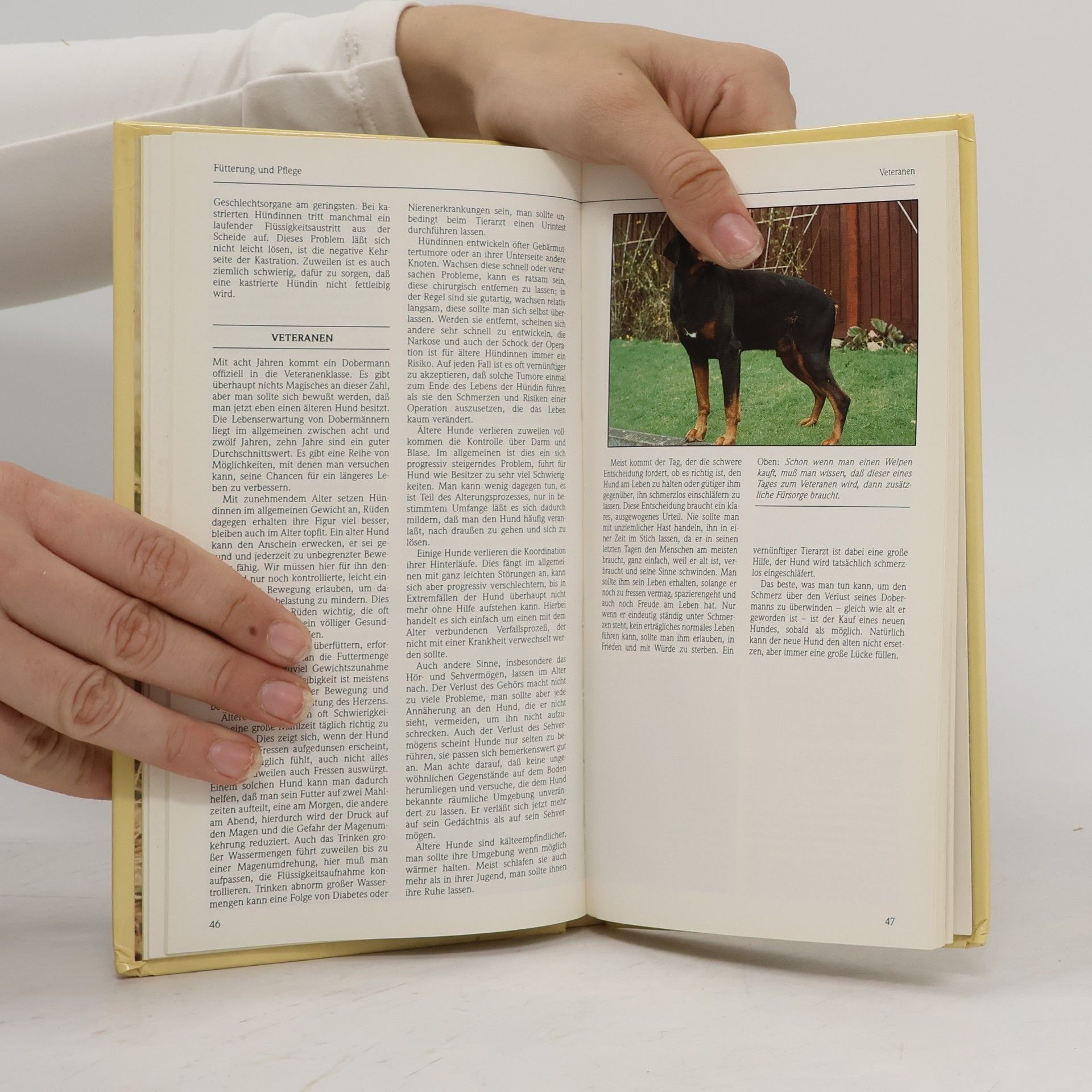 Jimmy Richardson Der Dobermann